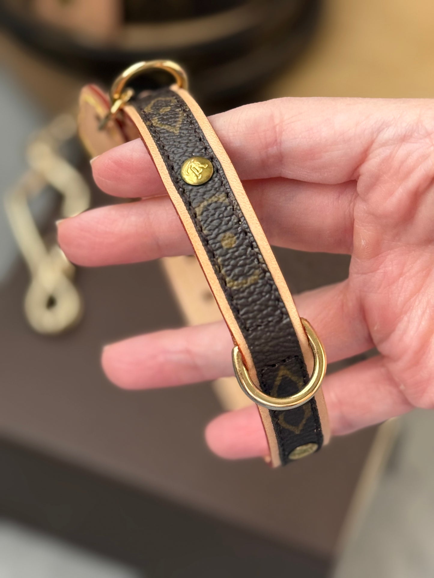 LV Collar PM with Monogram Leash