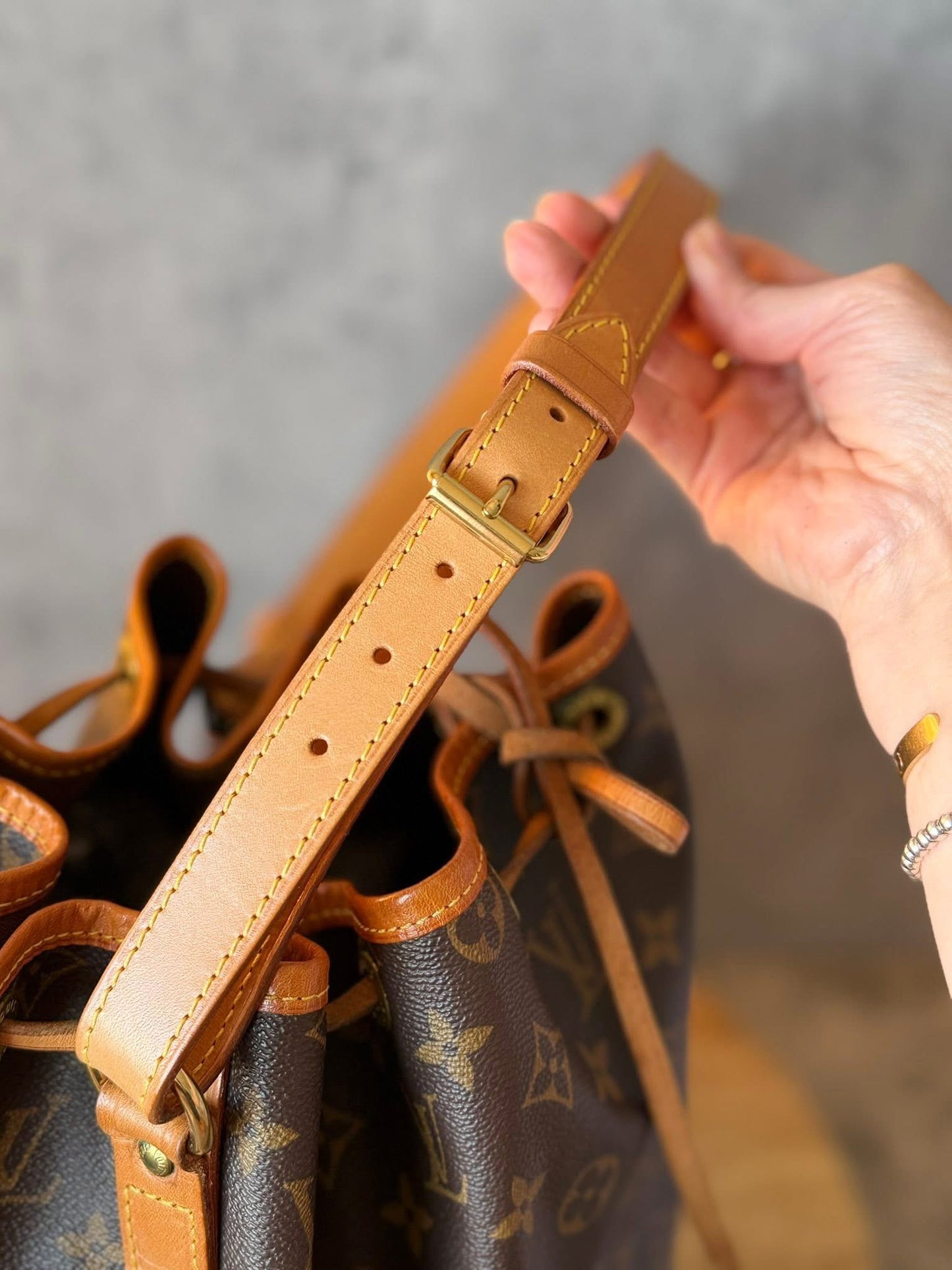 LV Noe GM Monogram