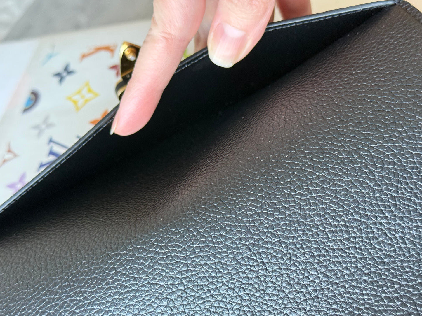 LV Giant Bicolor Cover