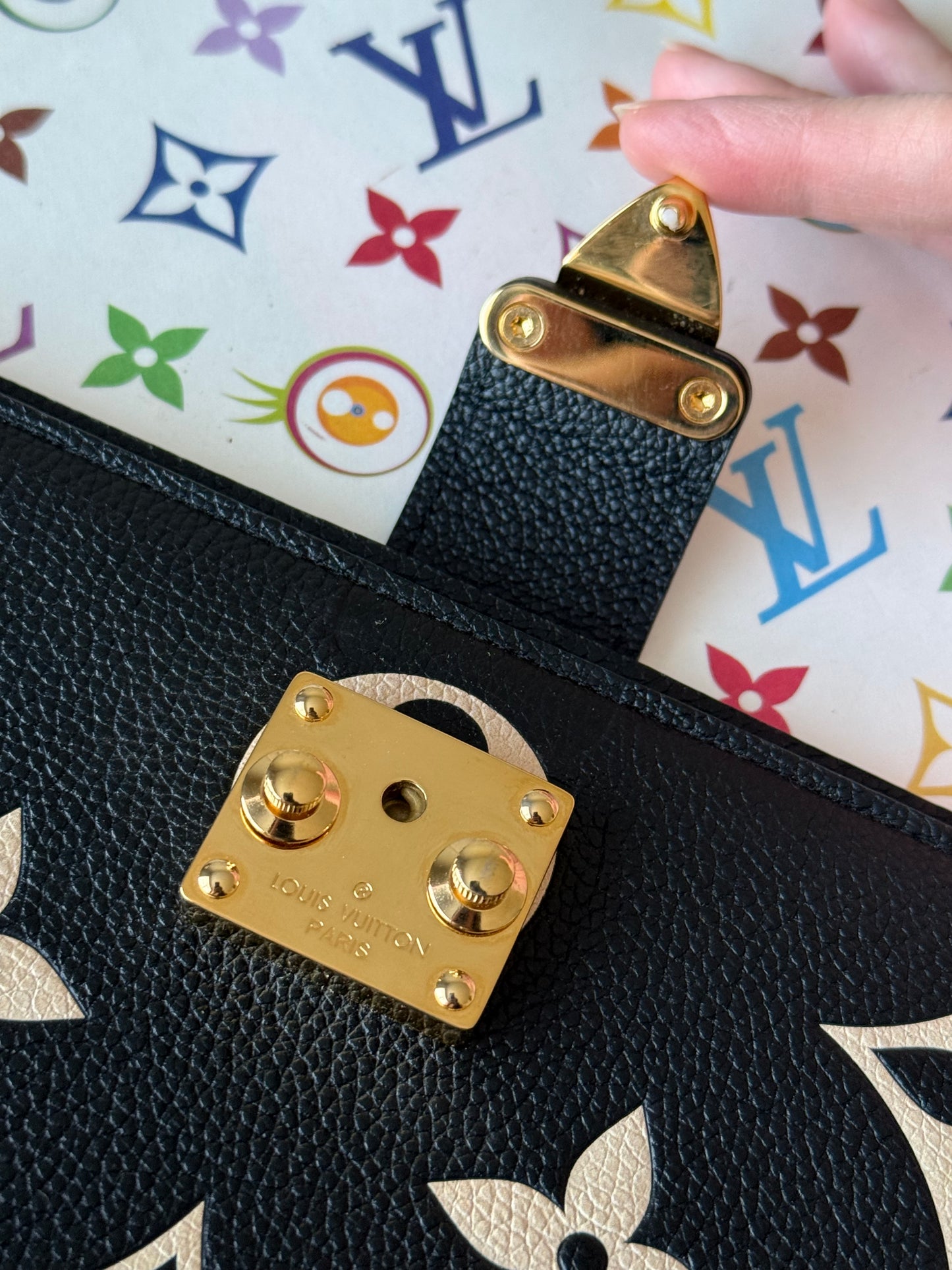 LV Giant Bicolor Cover