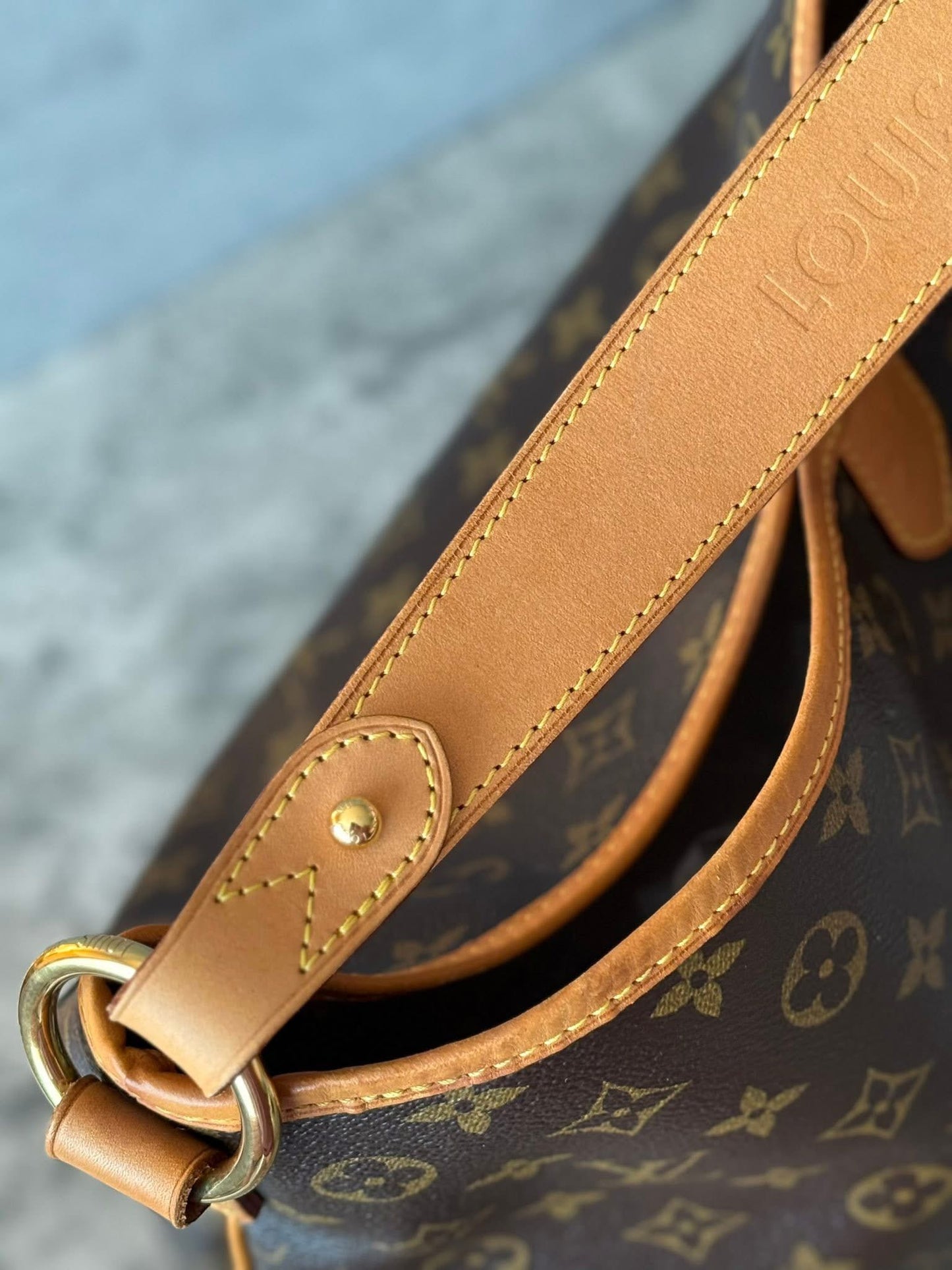 LV Delightful MM Old model