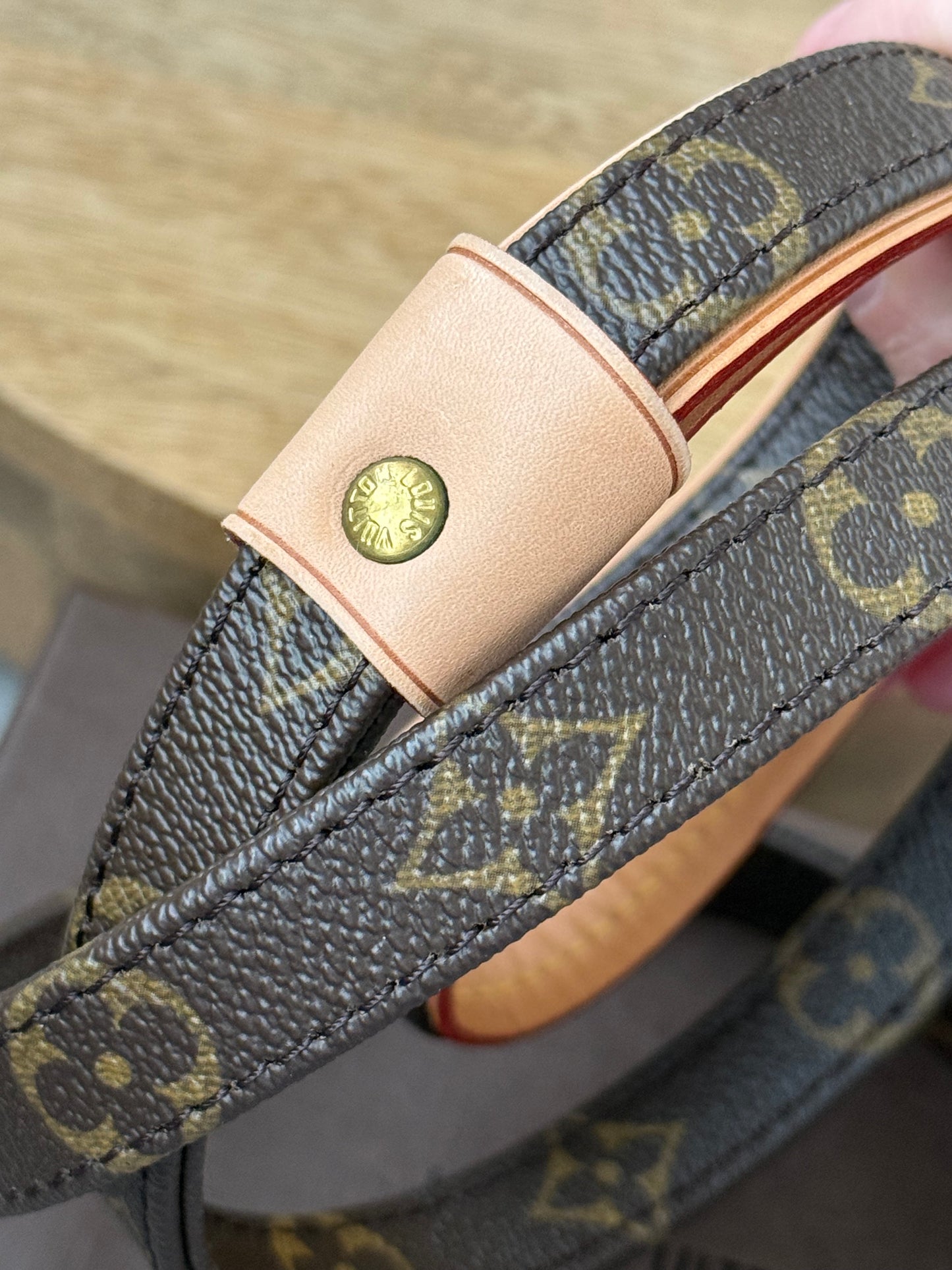 LV Collar PM with Monogram Leash