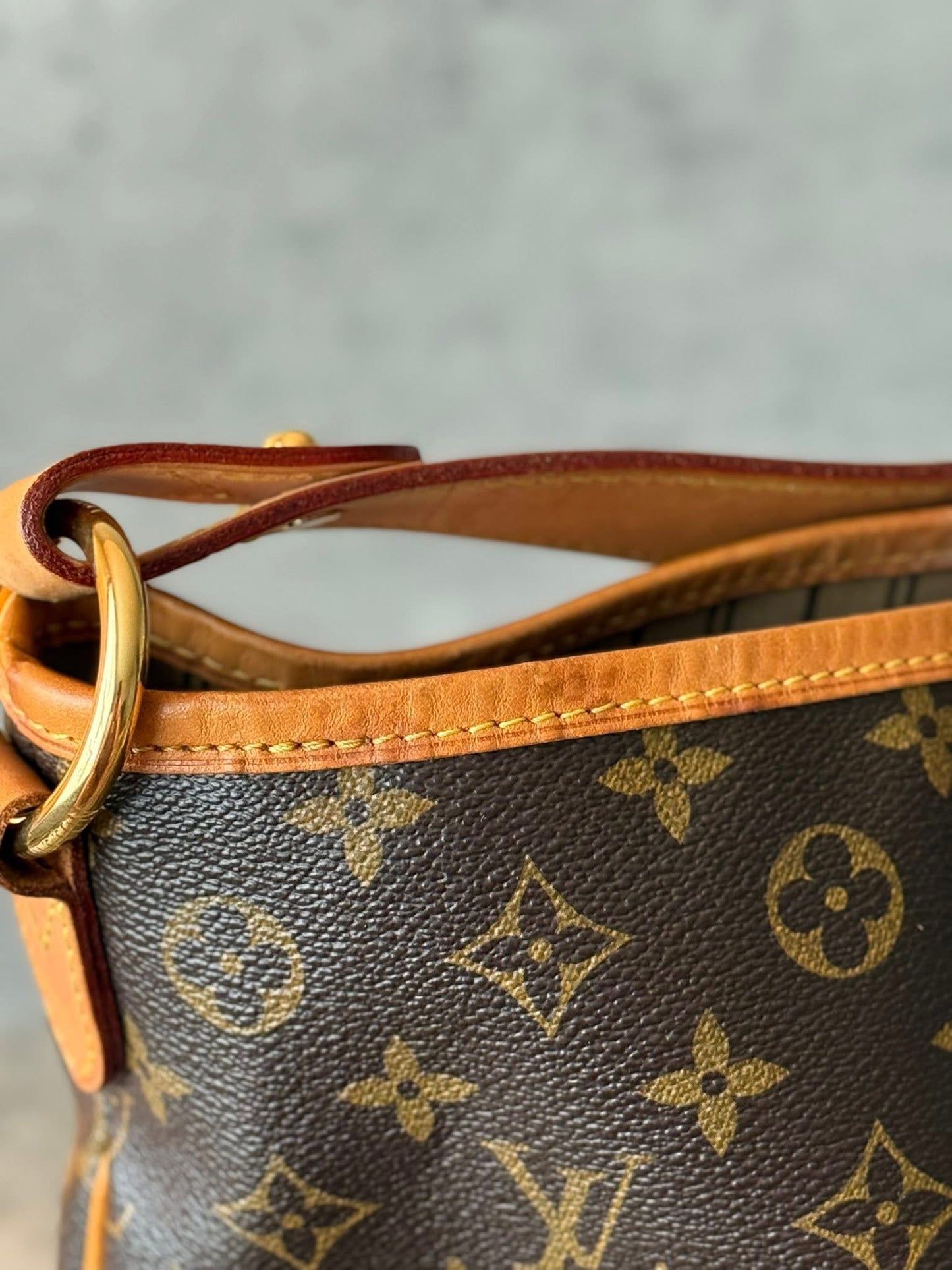 LV Delightful MM Old model