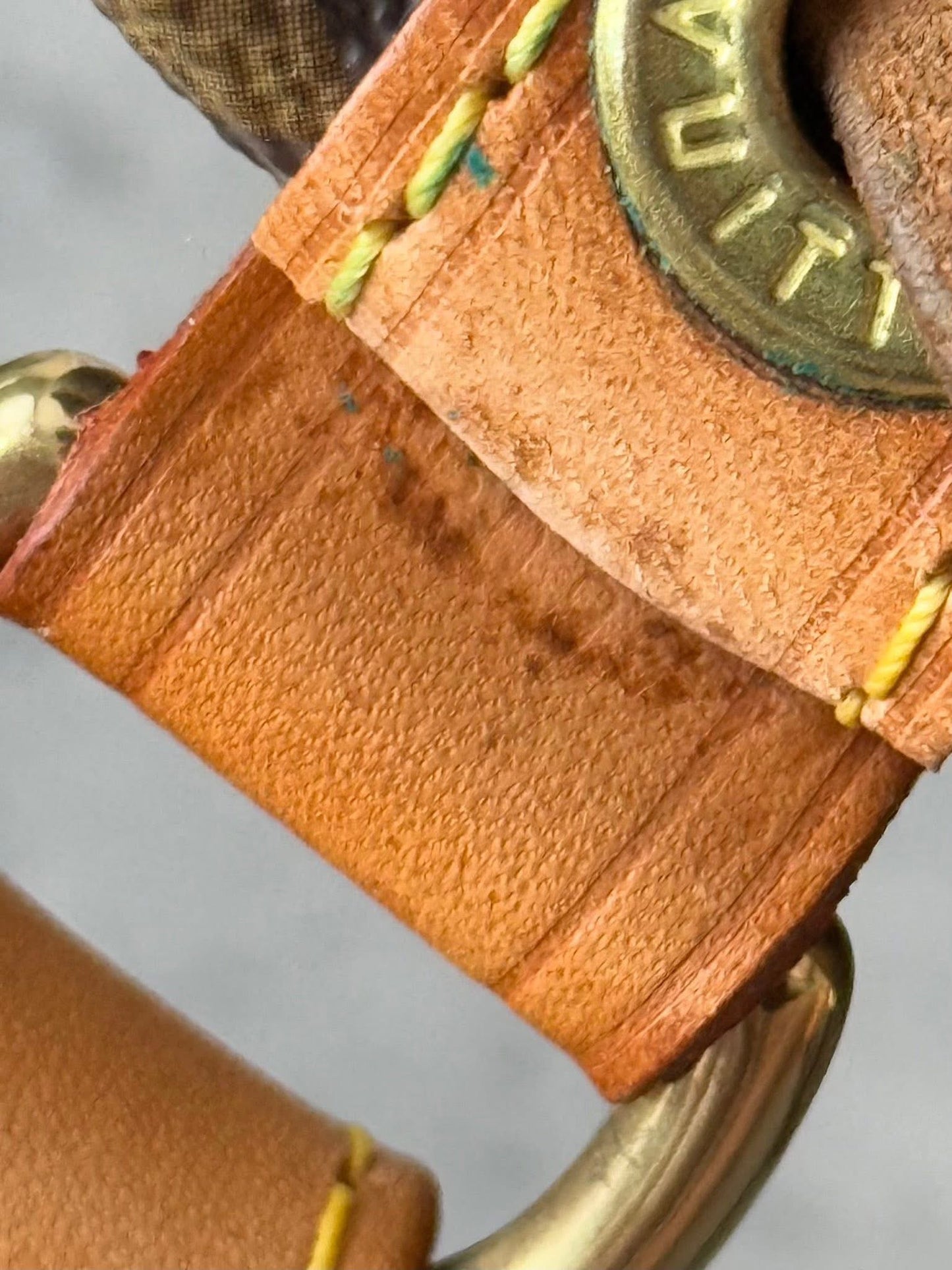 LV Noe GM Monogram