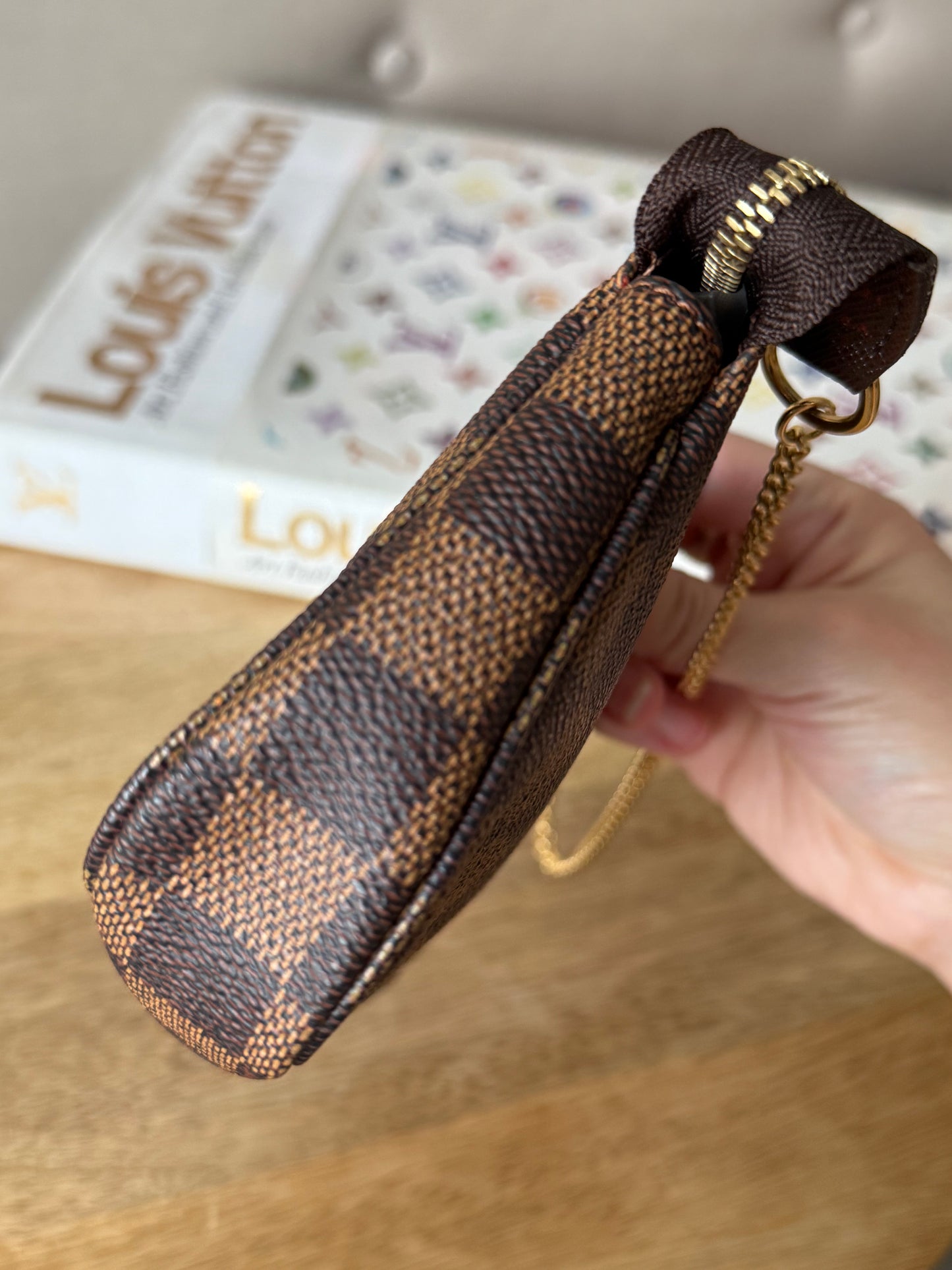 LV Bucket Pochette Damier Ebene