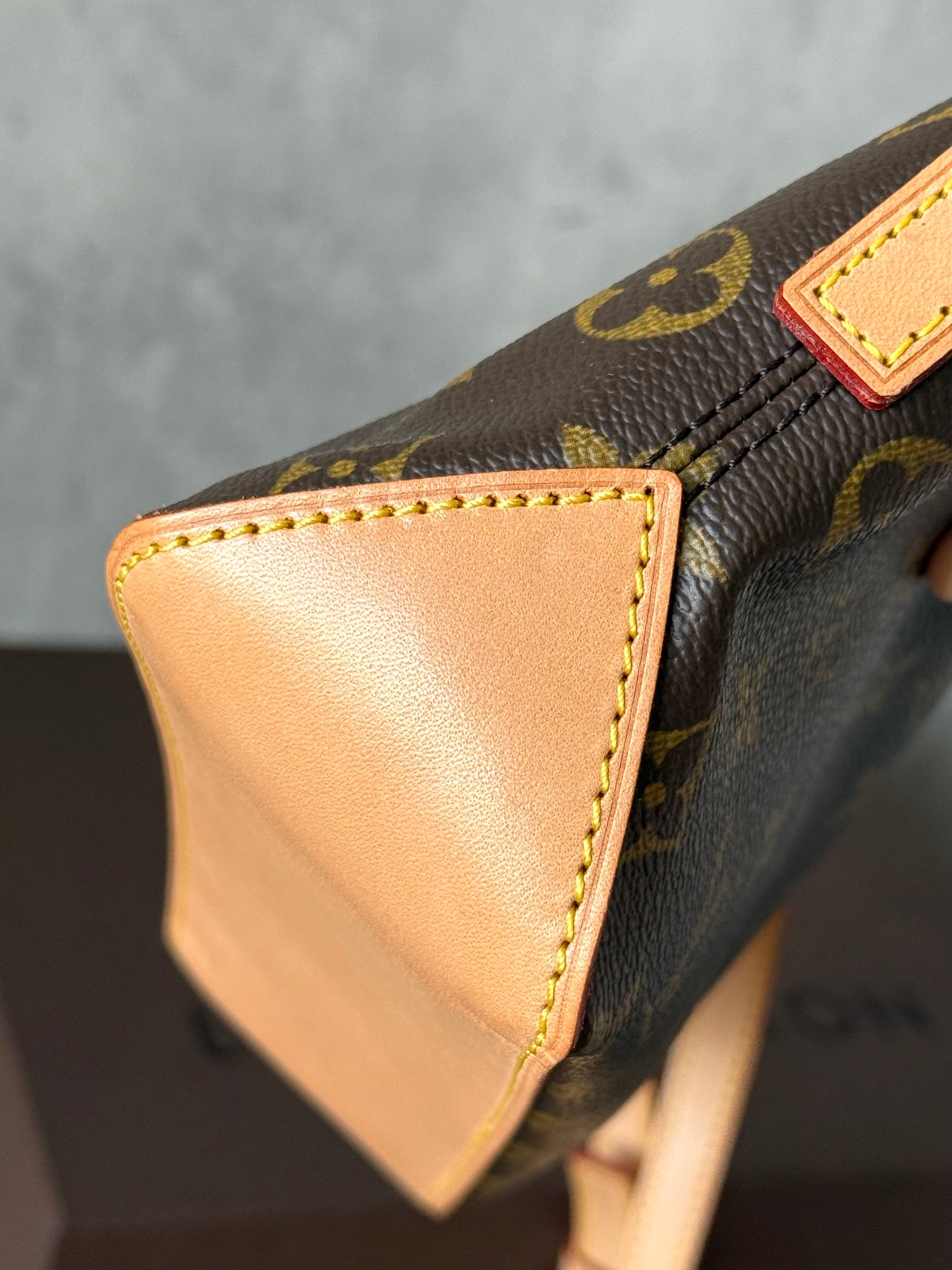 LV Trotteur Crossbody