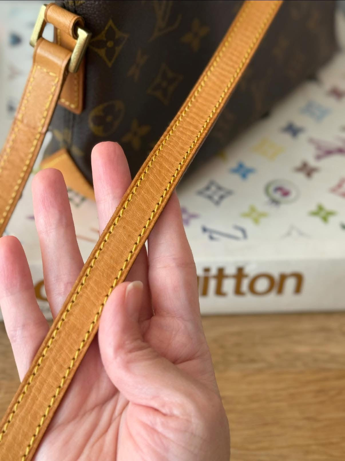 LV Trotteur crossbody