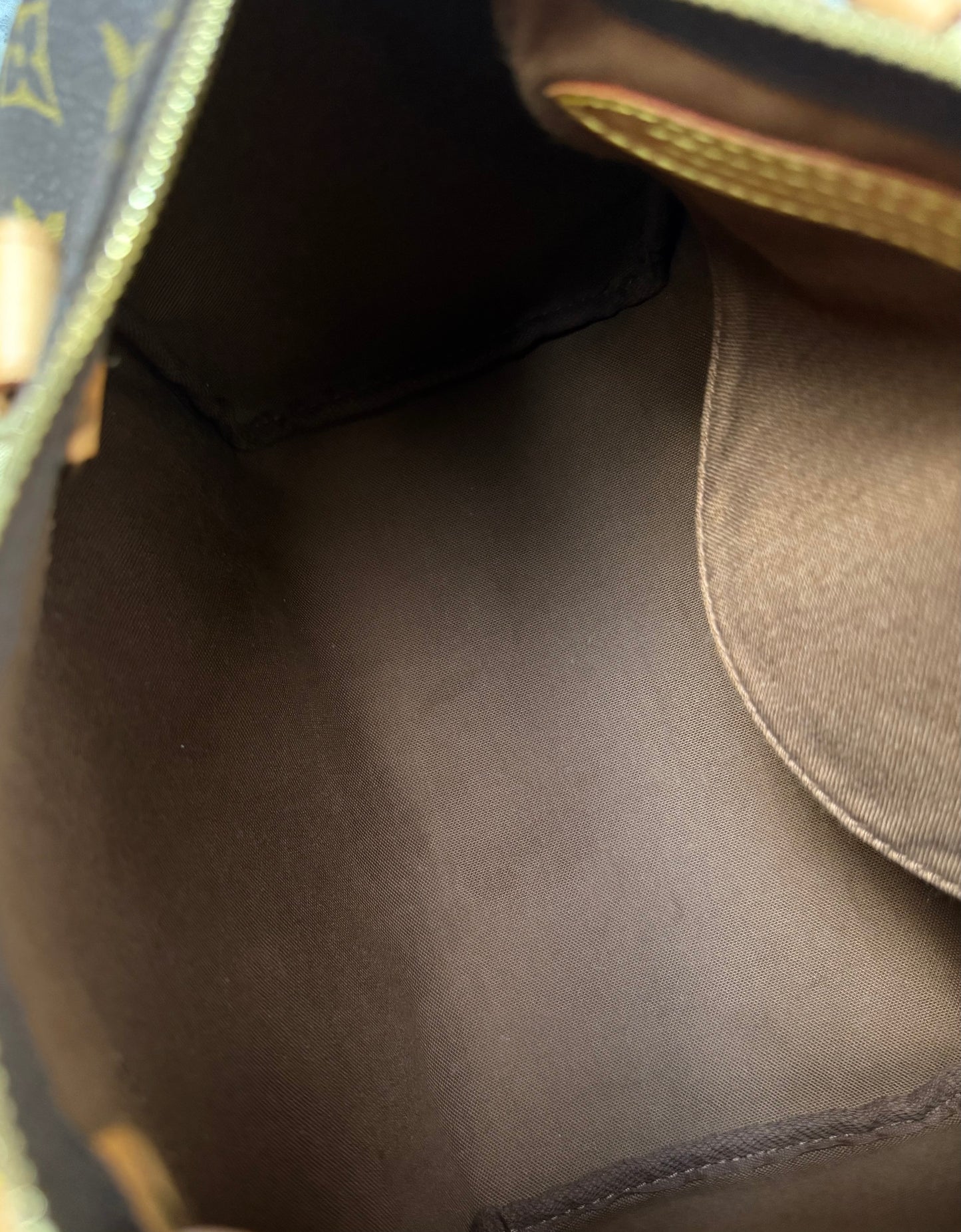 LV Speedy 25 Monogram