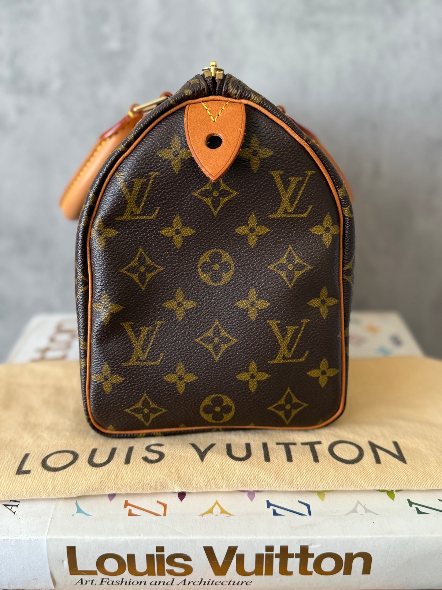 LV Speedy 25 Monogram