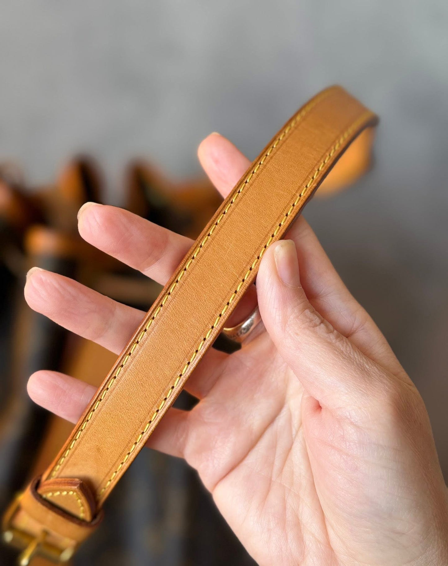 LV Noe GM Monogram