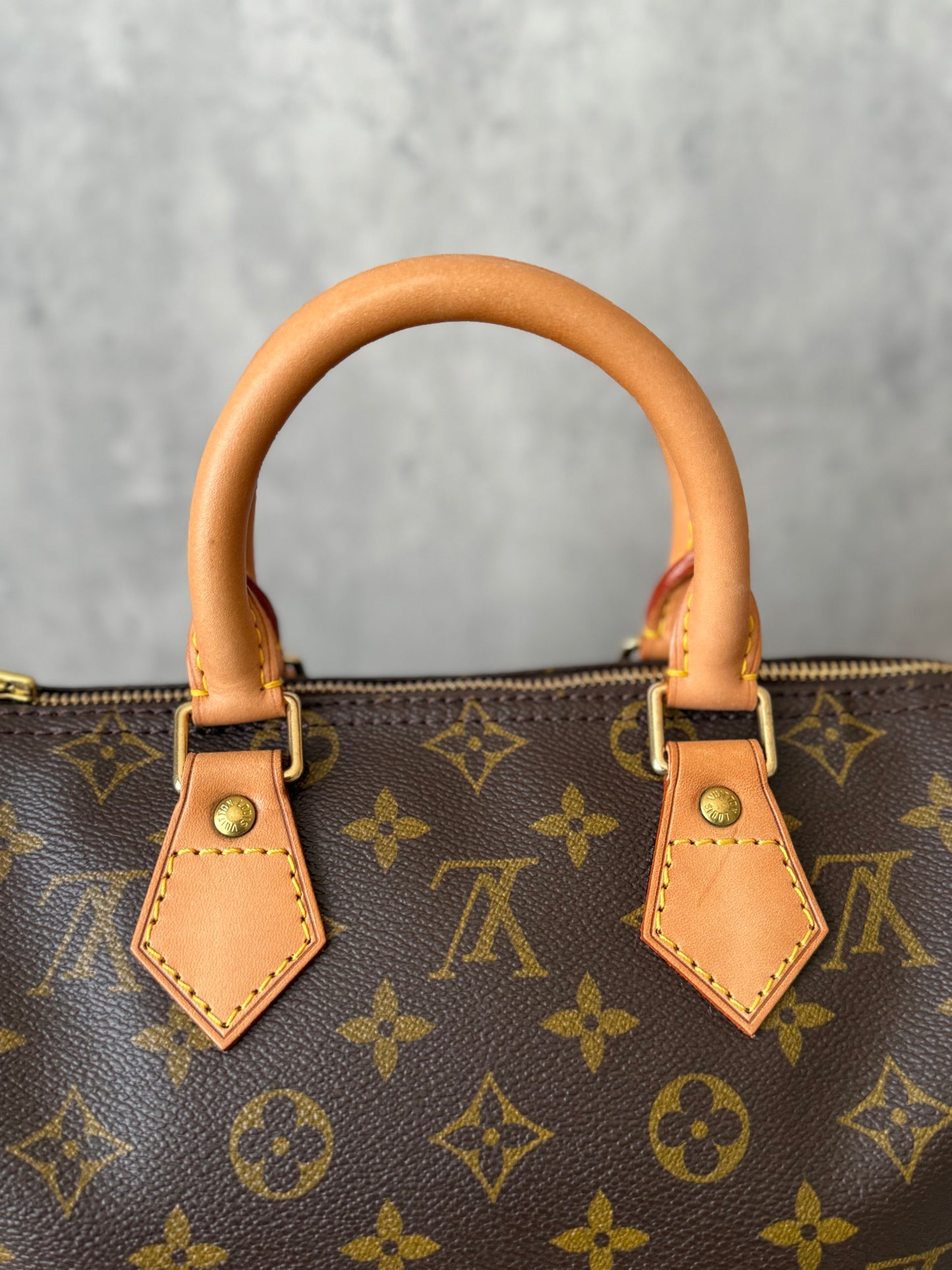 LV Speedy 25 Monogram