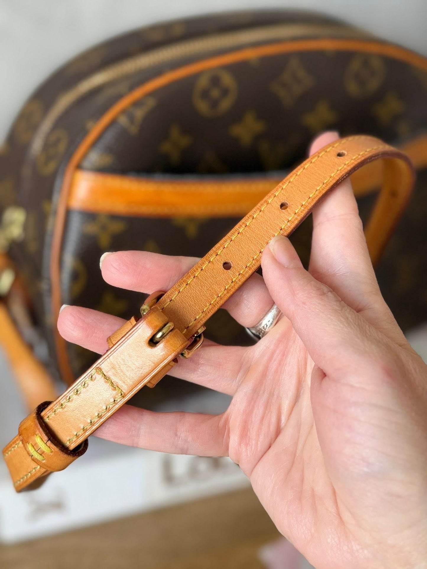 LV Blois monogram Crossbody