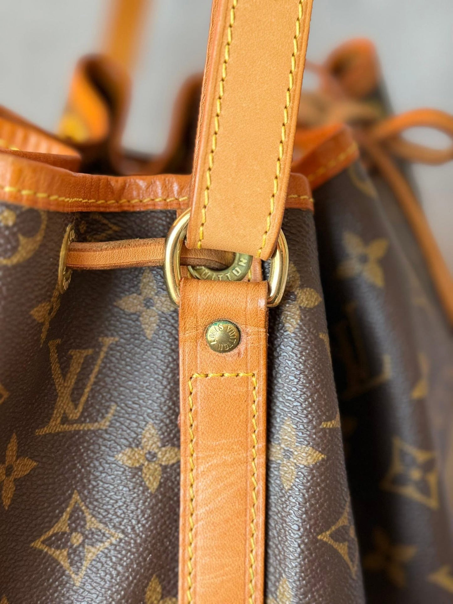 LV Noe GM Monogram