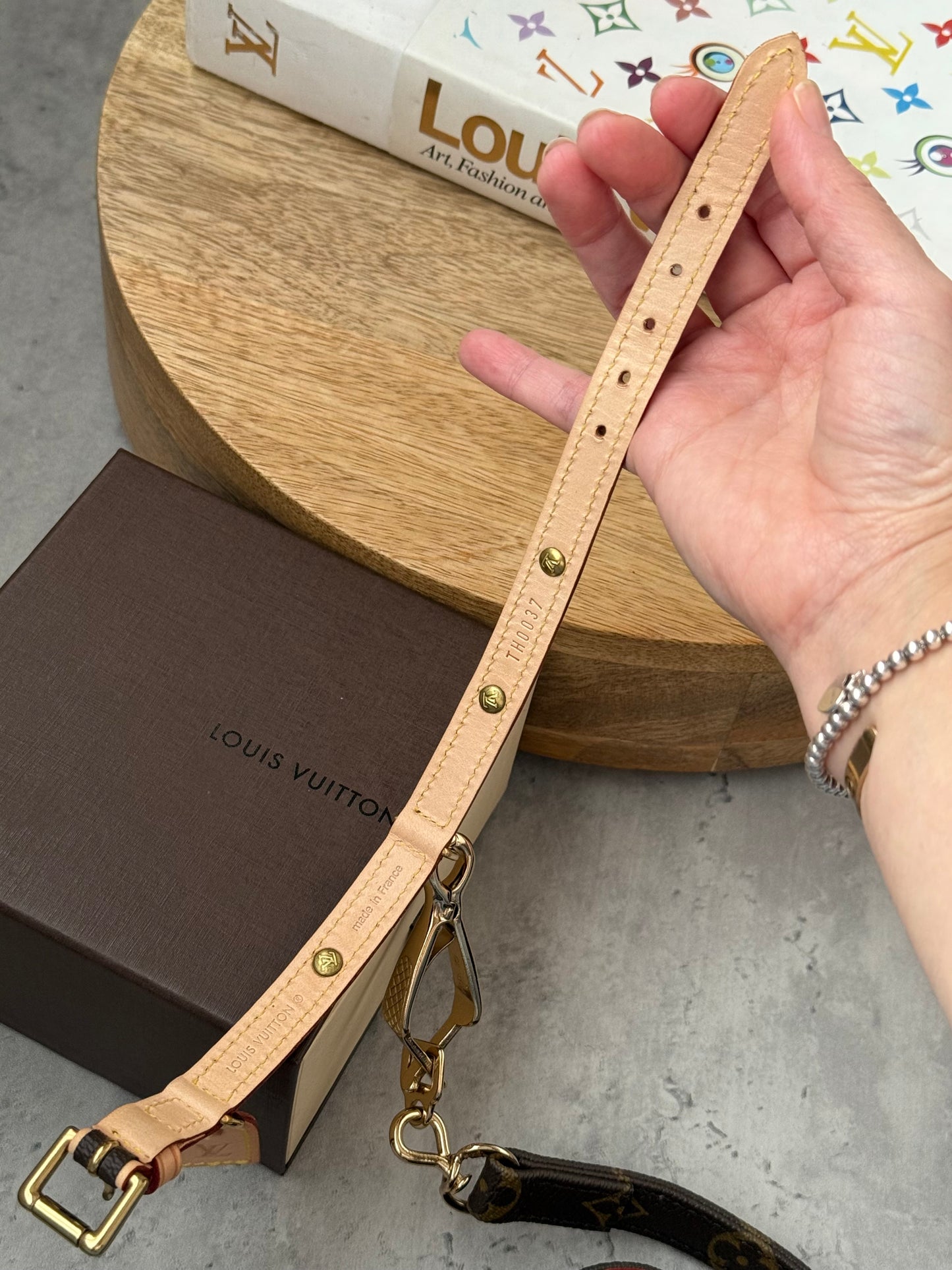 LV Collar PM with Monogram Leash