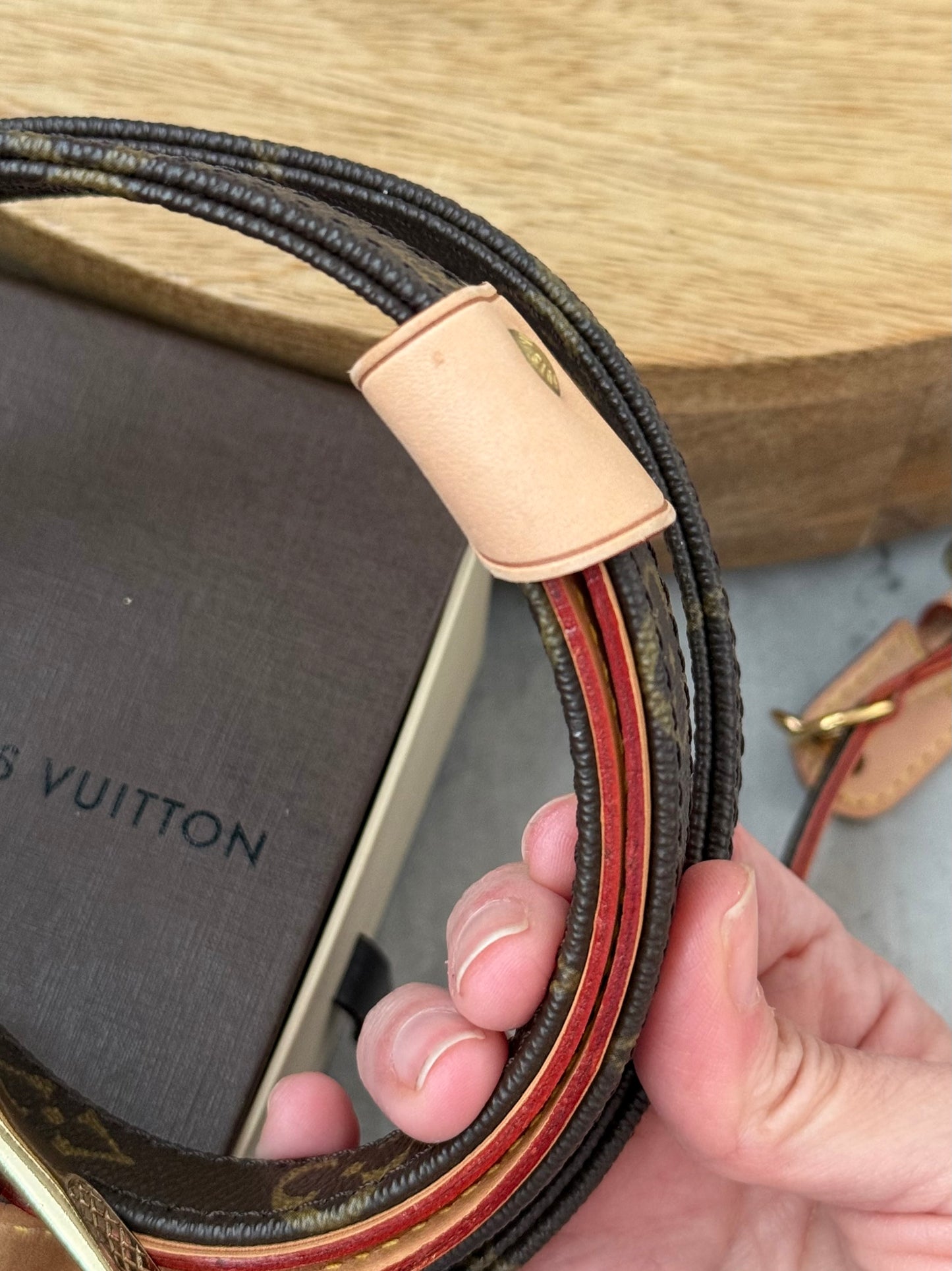 LV Collar PM with Monogram Leash