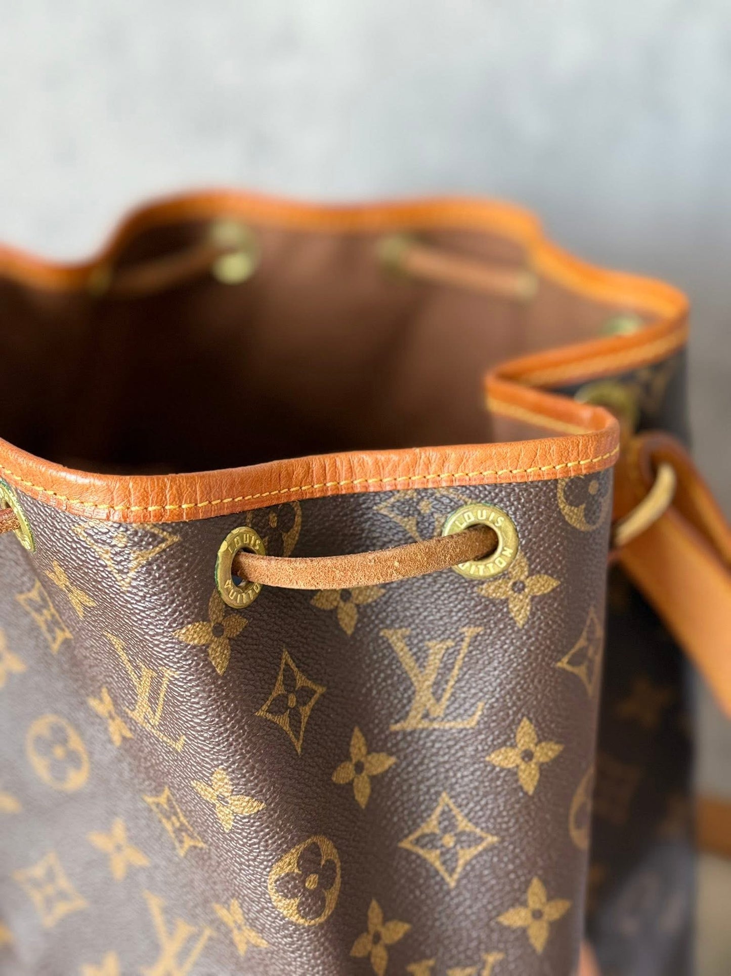 LV Noe GM Monogram