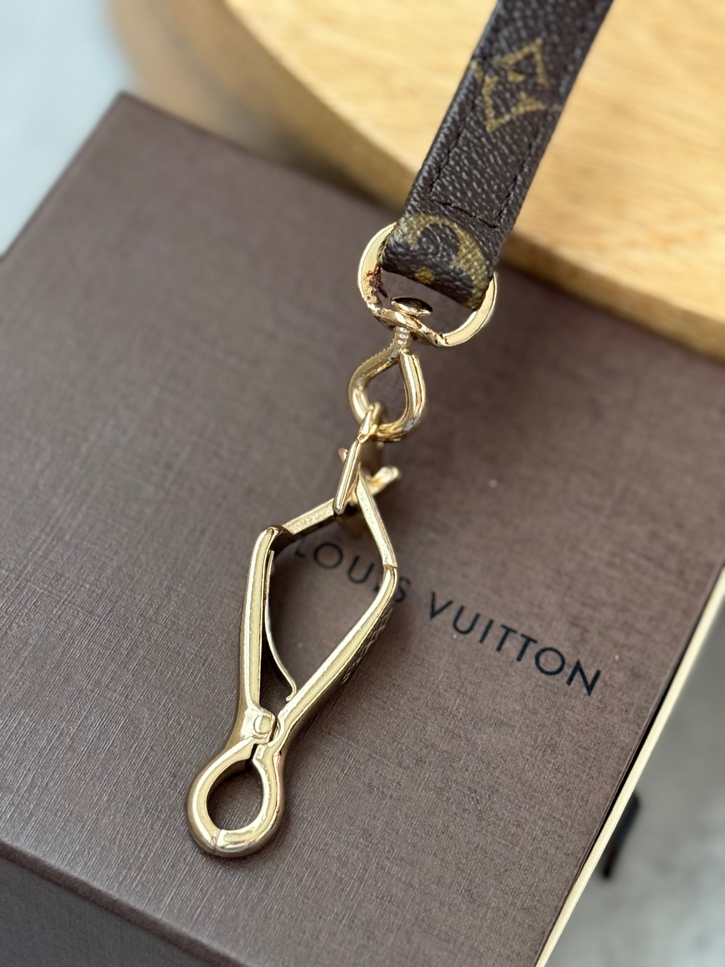LV Collar PM with Monogram Leash