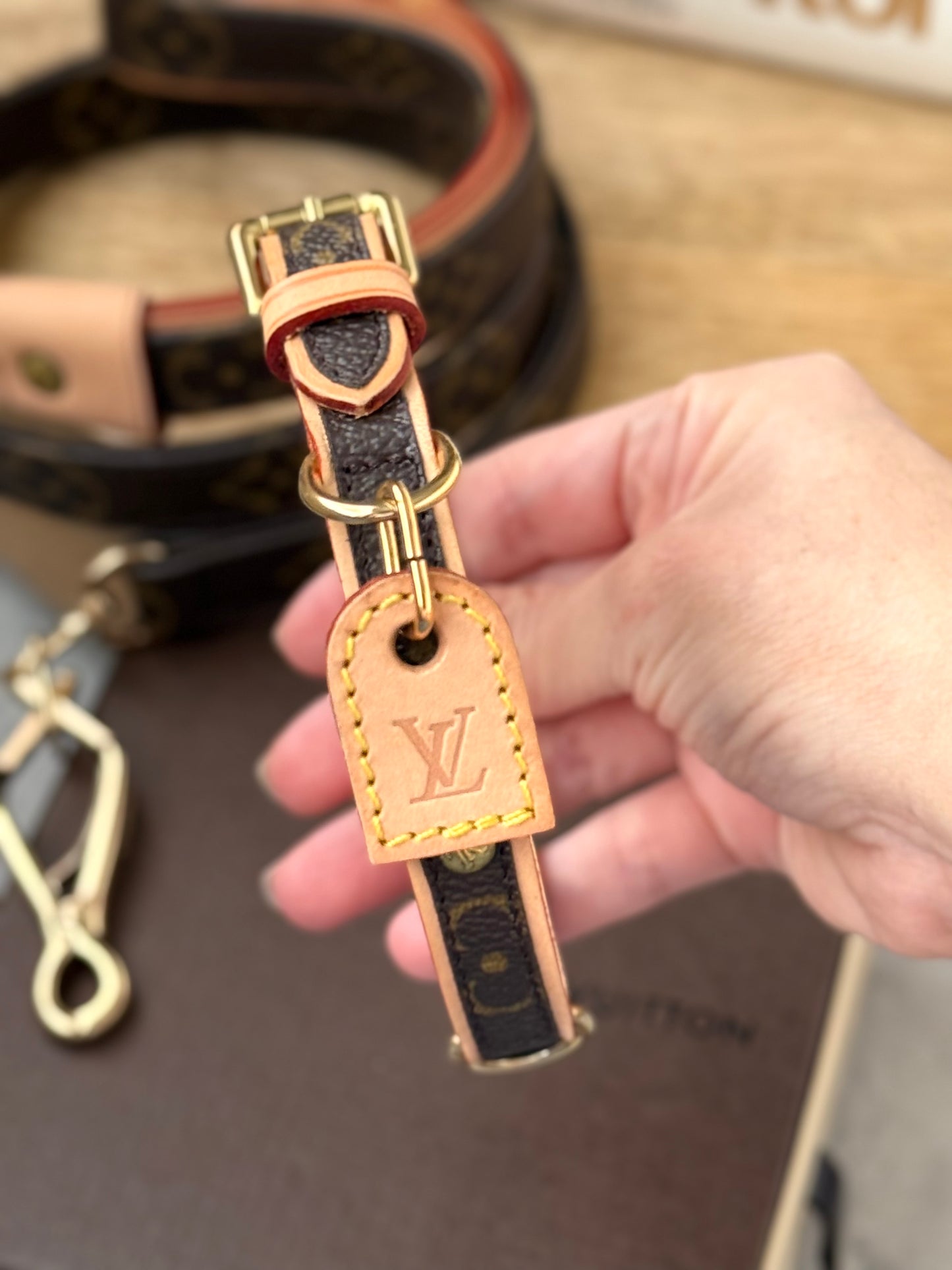 LV Collar PM with Monogram Leash