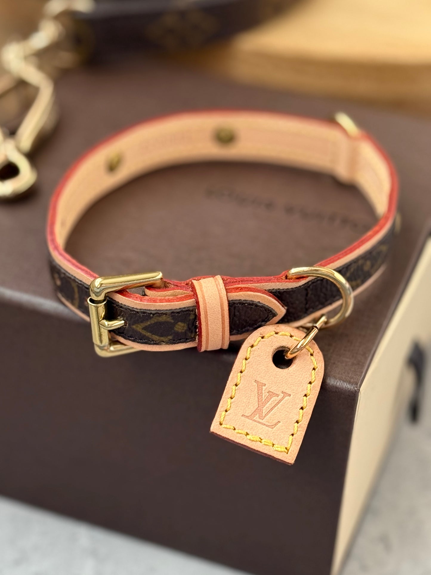 LV Collar PM with Monogram Leash