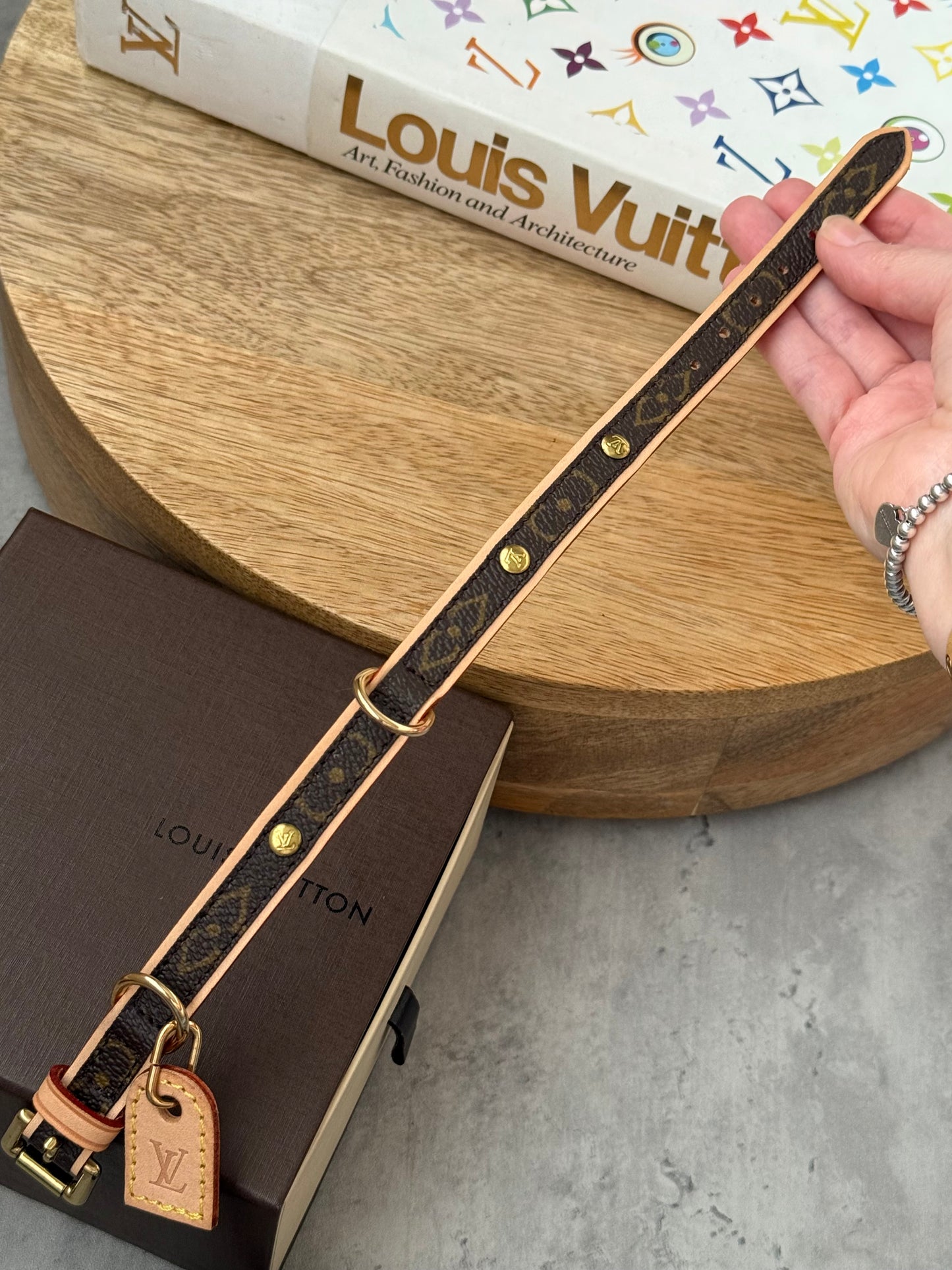 LV Collar PM with Monogram Leash