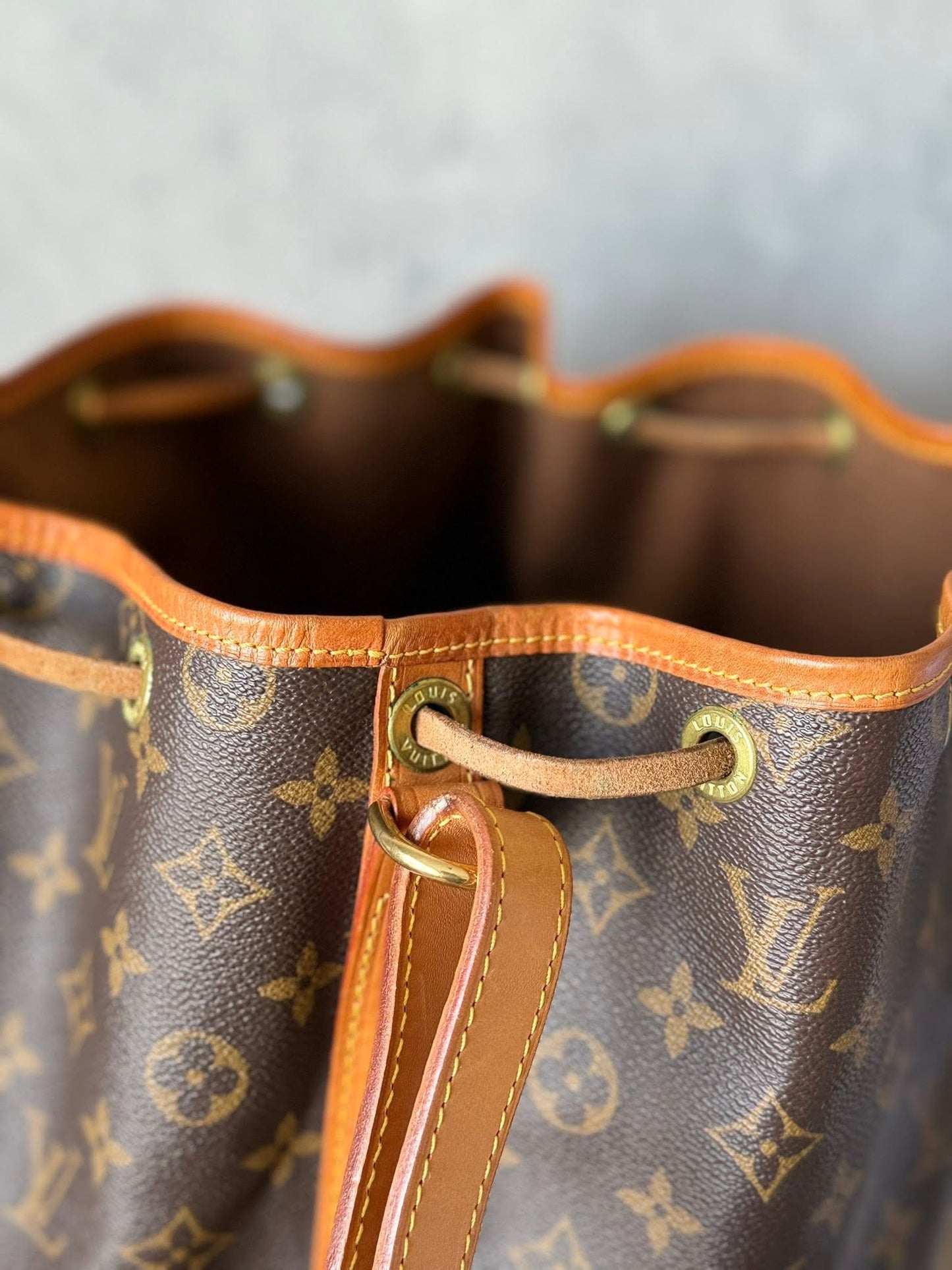 LV Noe GM Monogram
