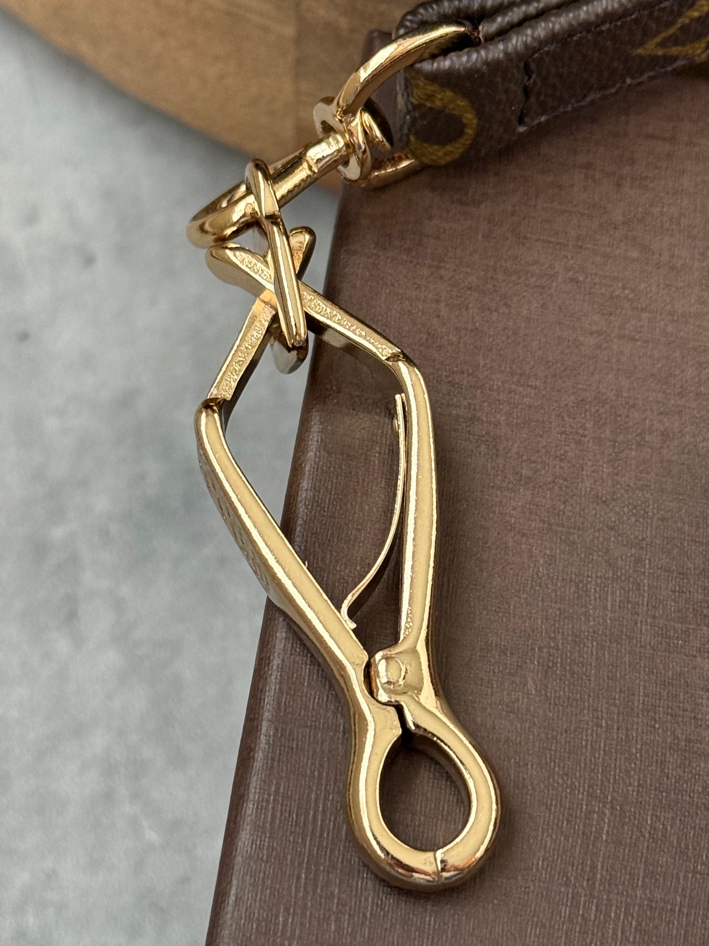 LV Collar PM with Monogram Leash