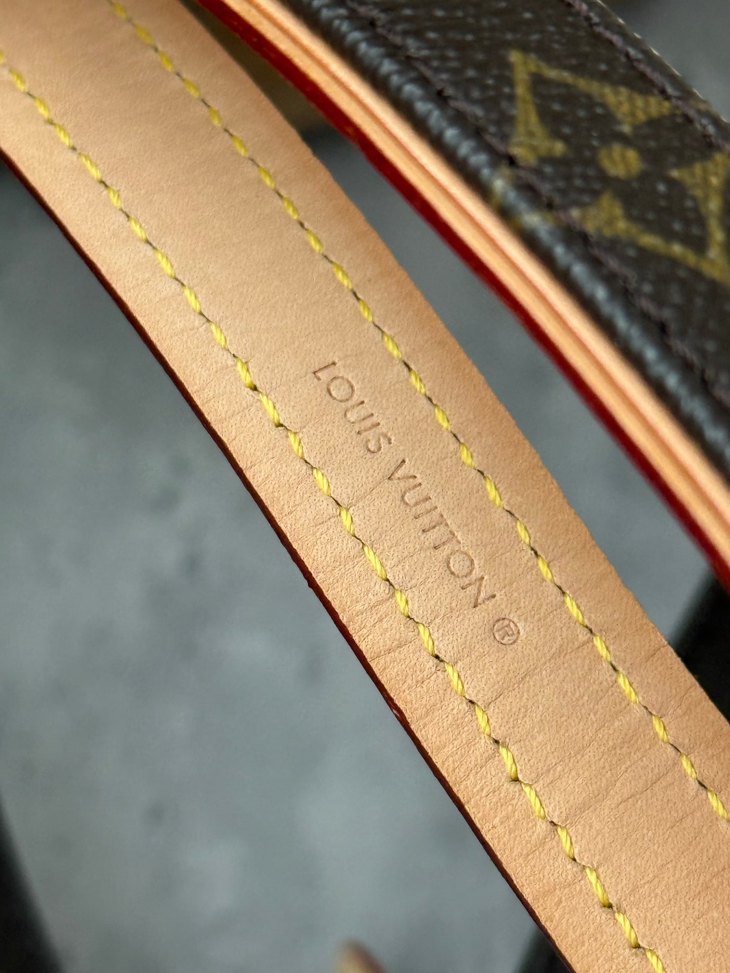 LV Collar PM with Monogram Leash
