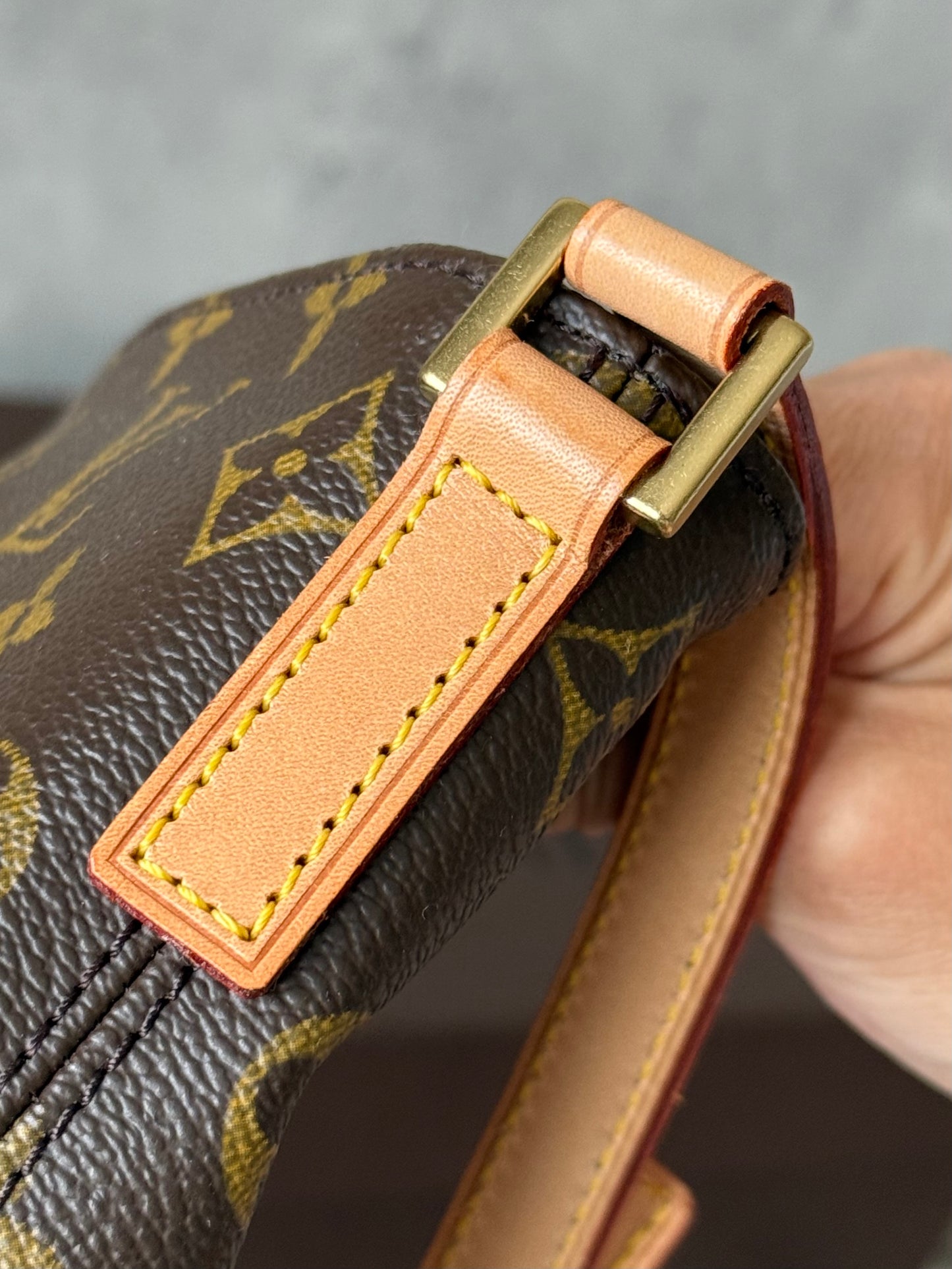 LV Trotteur Crossbody