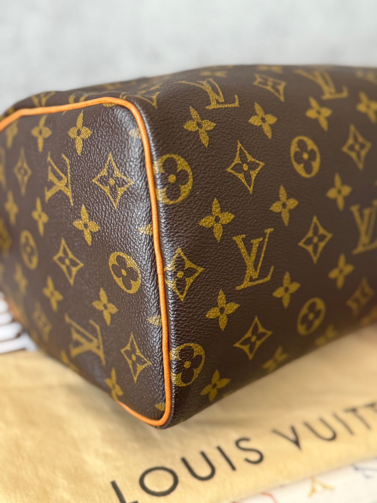 LV Speedy 25 Monogram