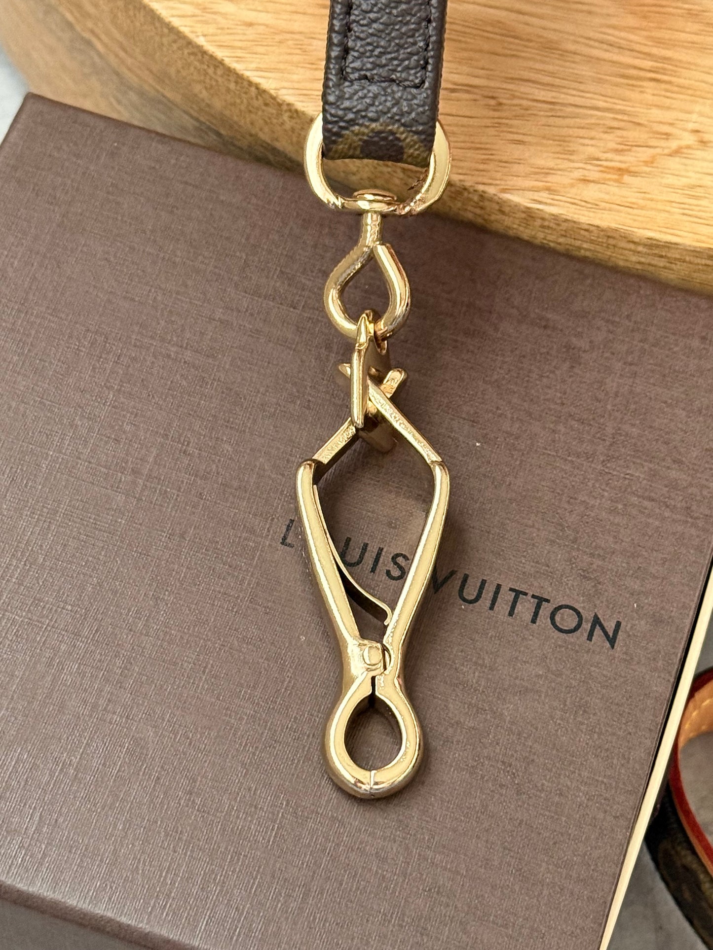 LV Collar PM with Monogram Leash