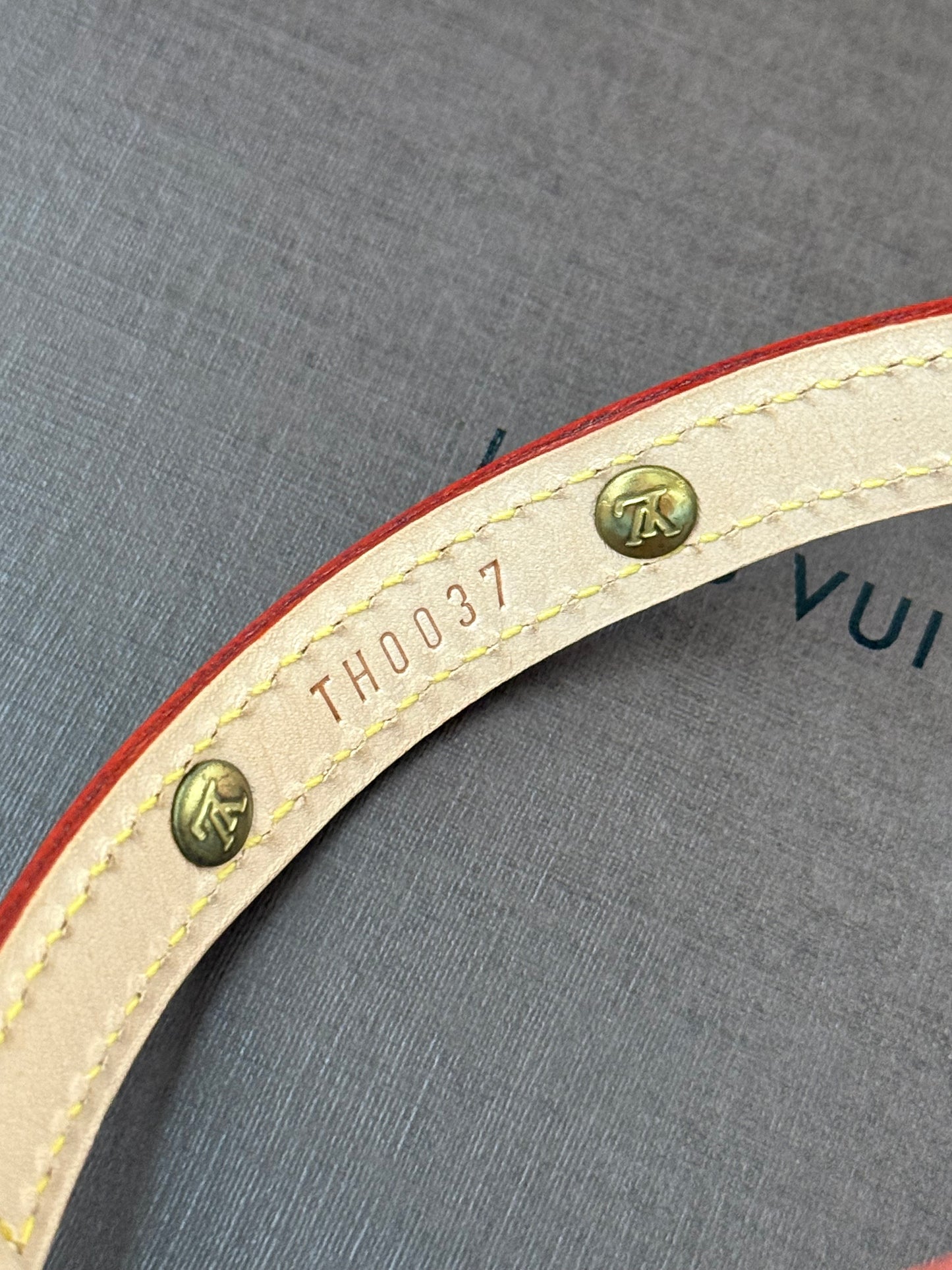 LV Collar PM with Monogram Leash