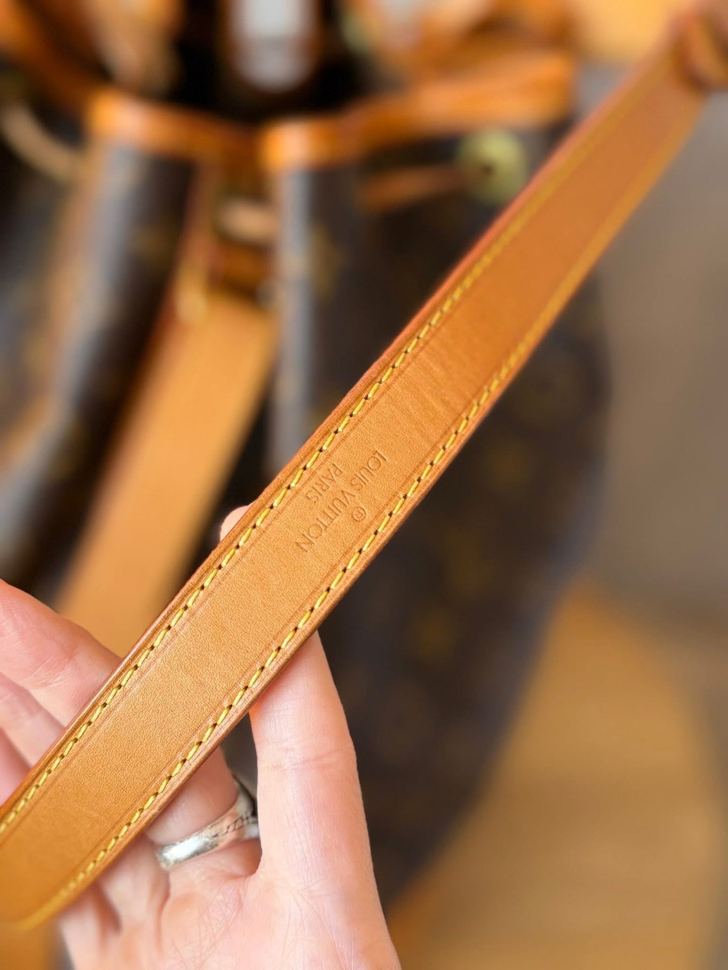 LV Noe GM Monogram