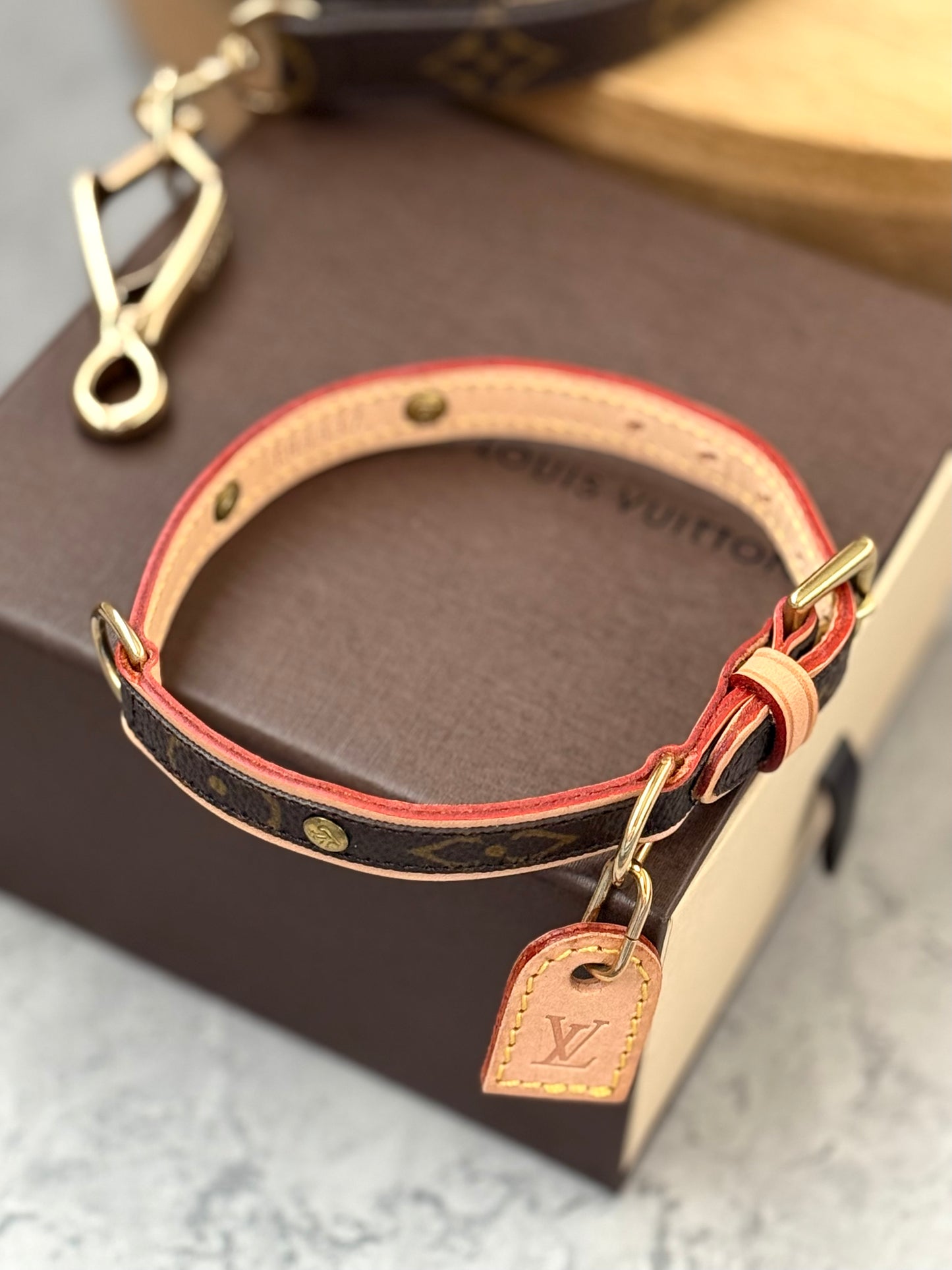 LV Collar PM with Monogram Leash
