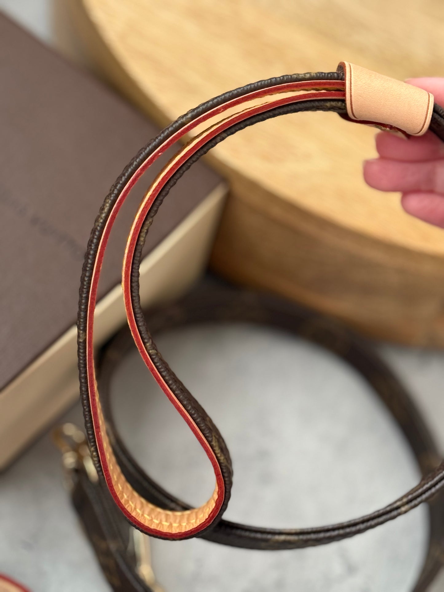 LV Collar PM with Monogram Leash