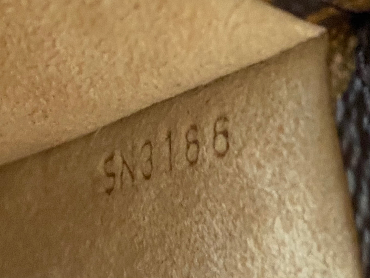 LV Etui MM Sunglasses case