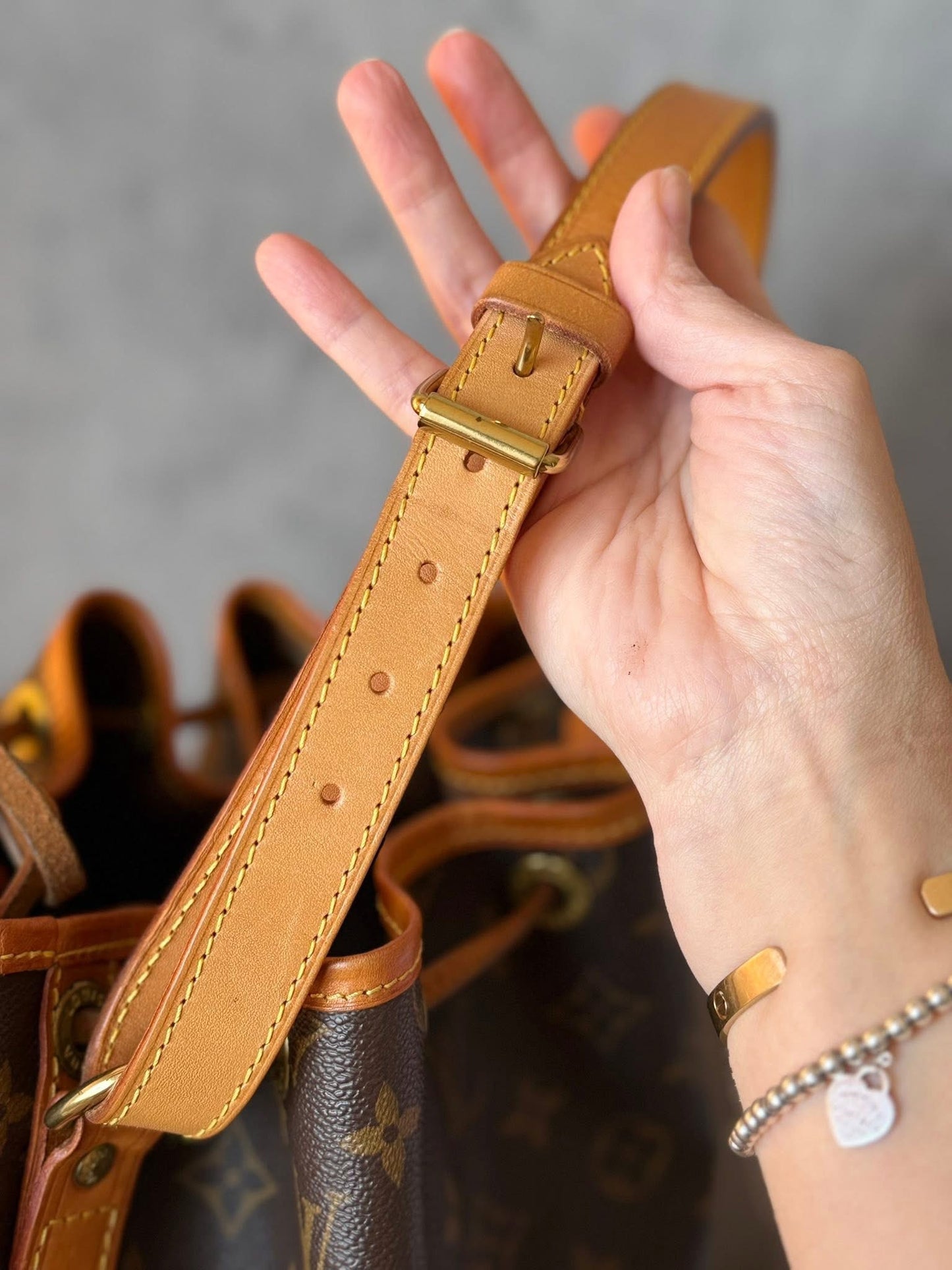 LV Noe GM Monogram