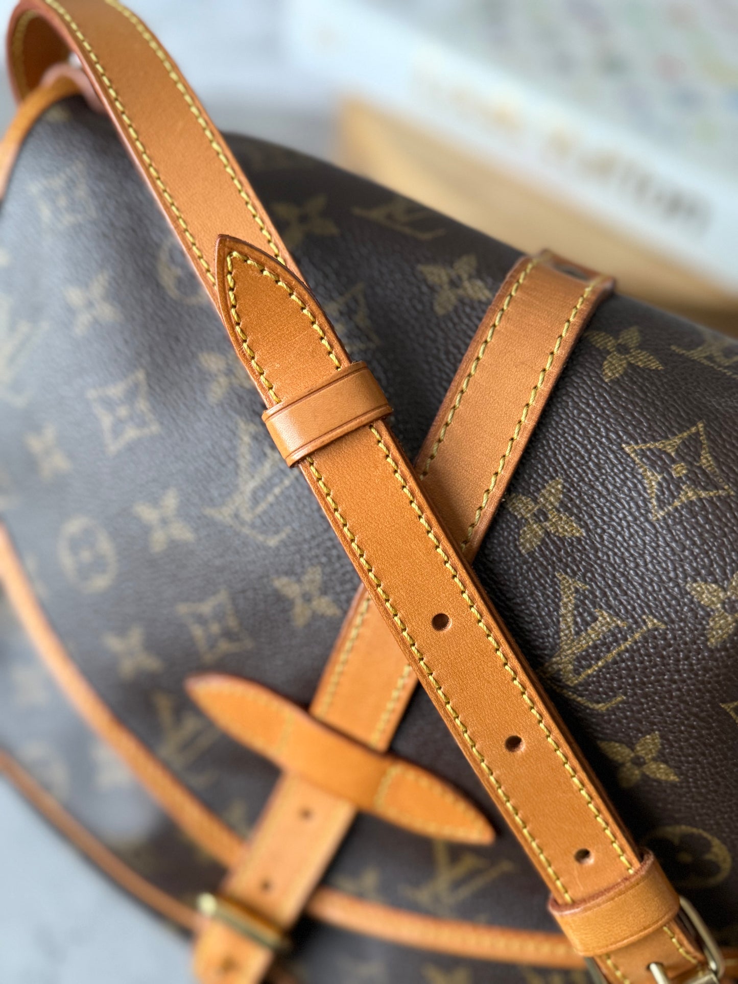 LV Saumur 30 Crossbody