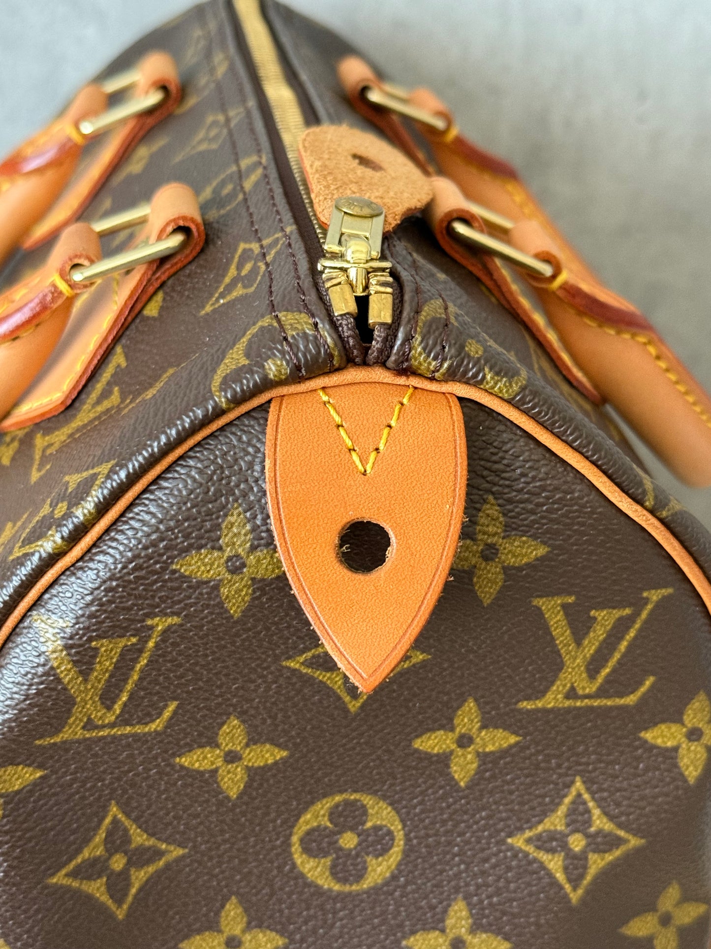 LV Speedy 25 Monogram