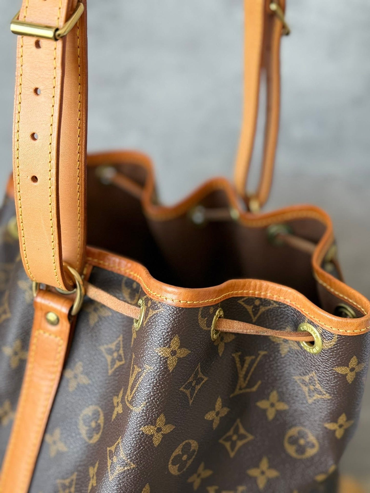 LV Noe GM Monogram