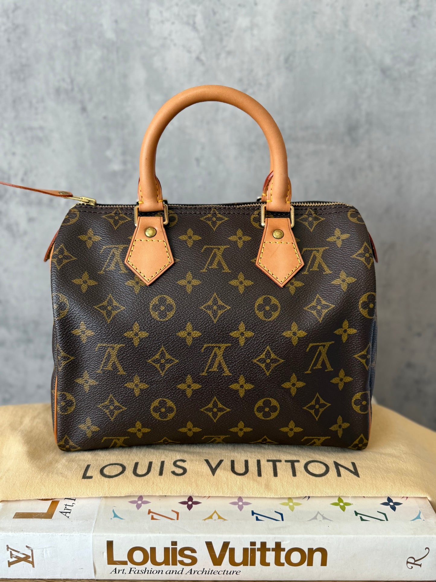 LV Speedy 25 Monogram