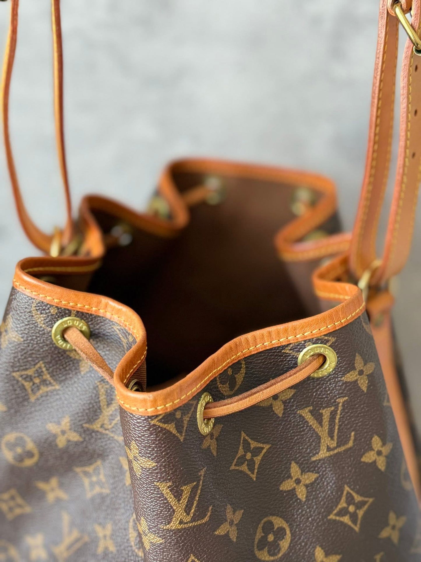LV Noe GM Monogram