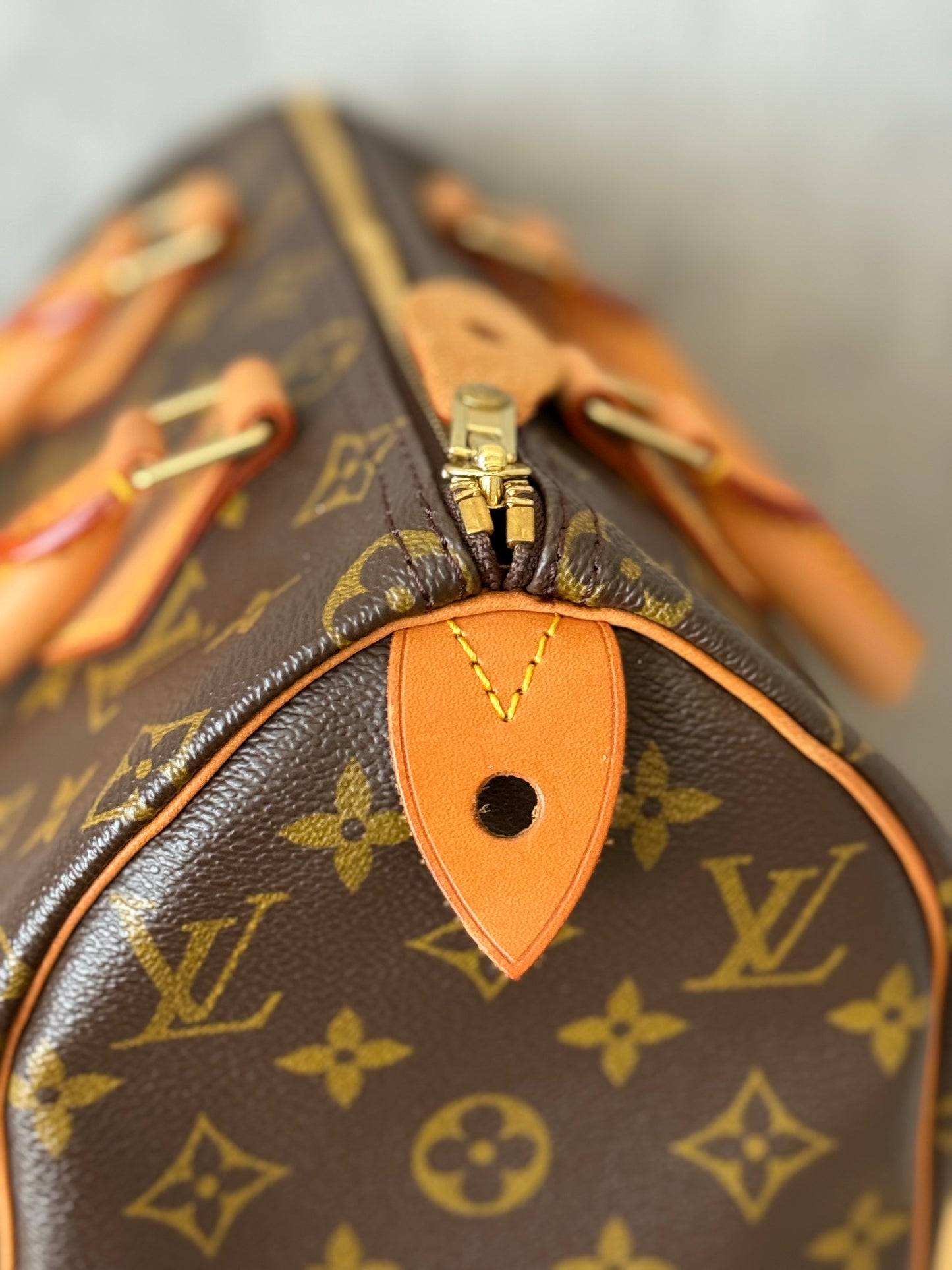 LV Speedy 25 Monogram