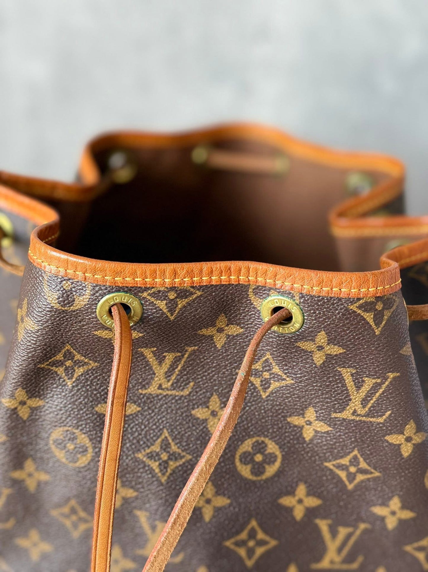 LV Noe GM Monogram