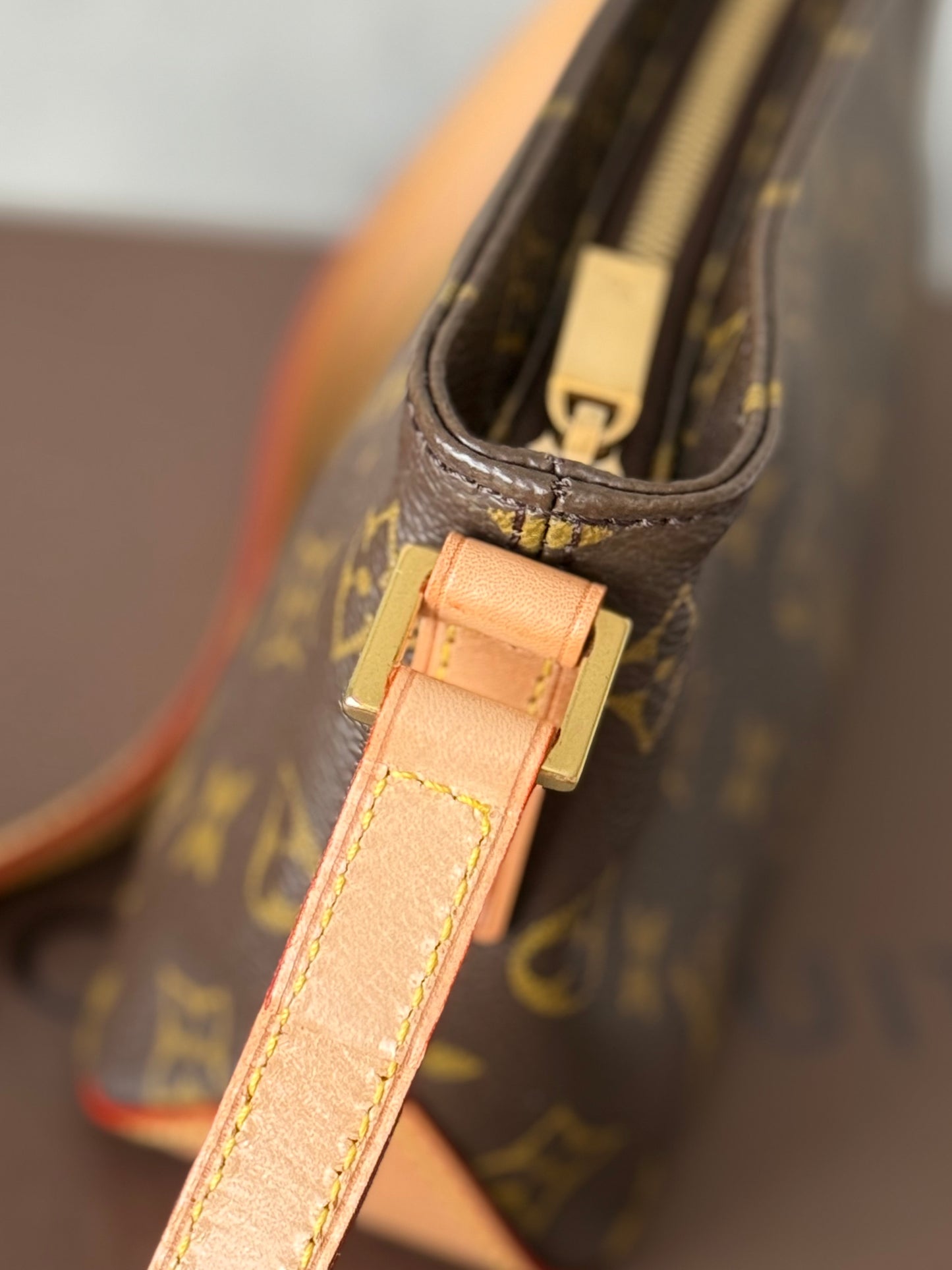 LV Trotteur Crossbody