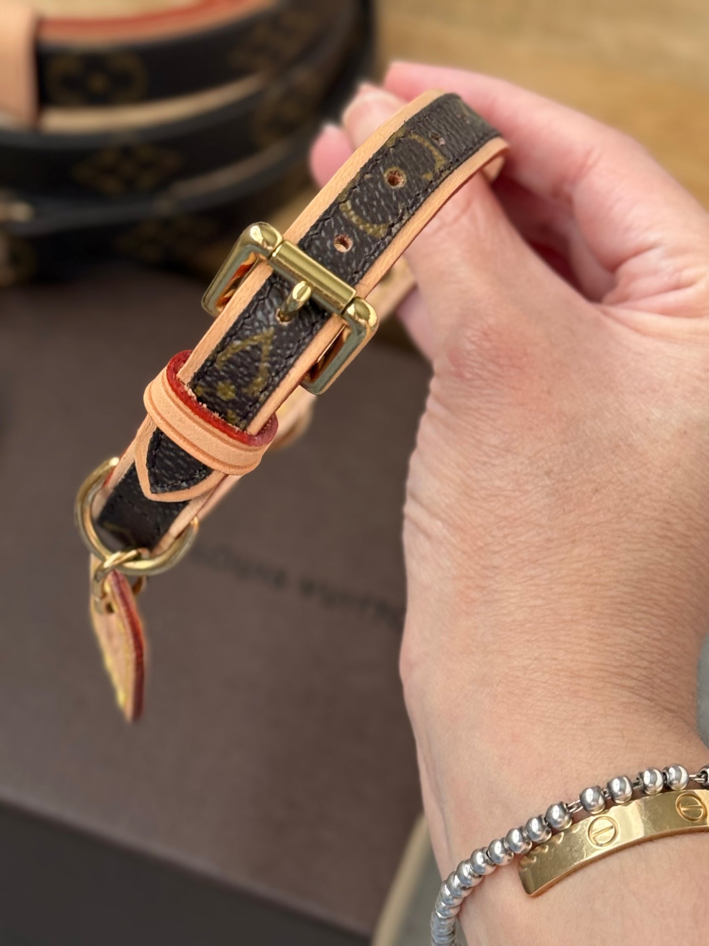 LV Collar PM with Monogram Leash
