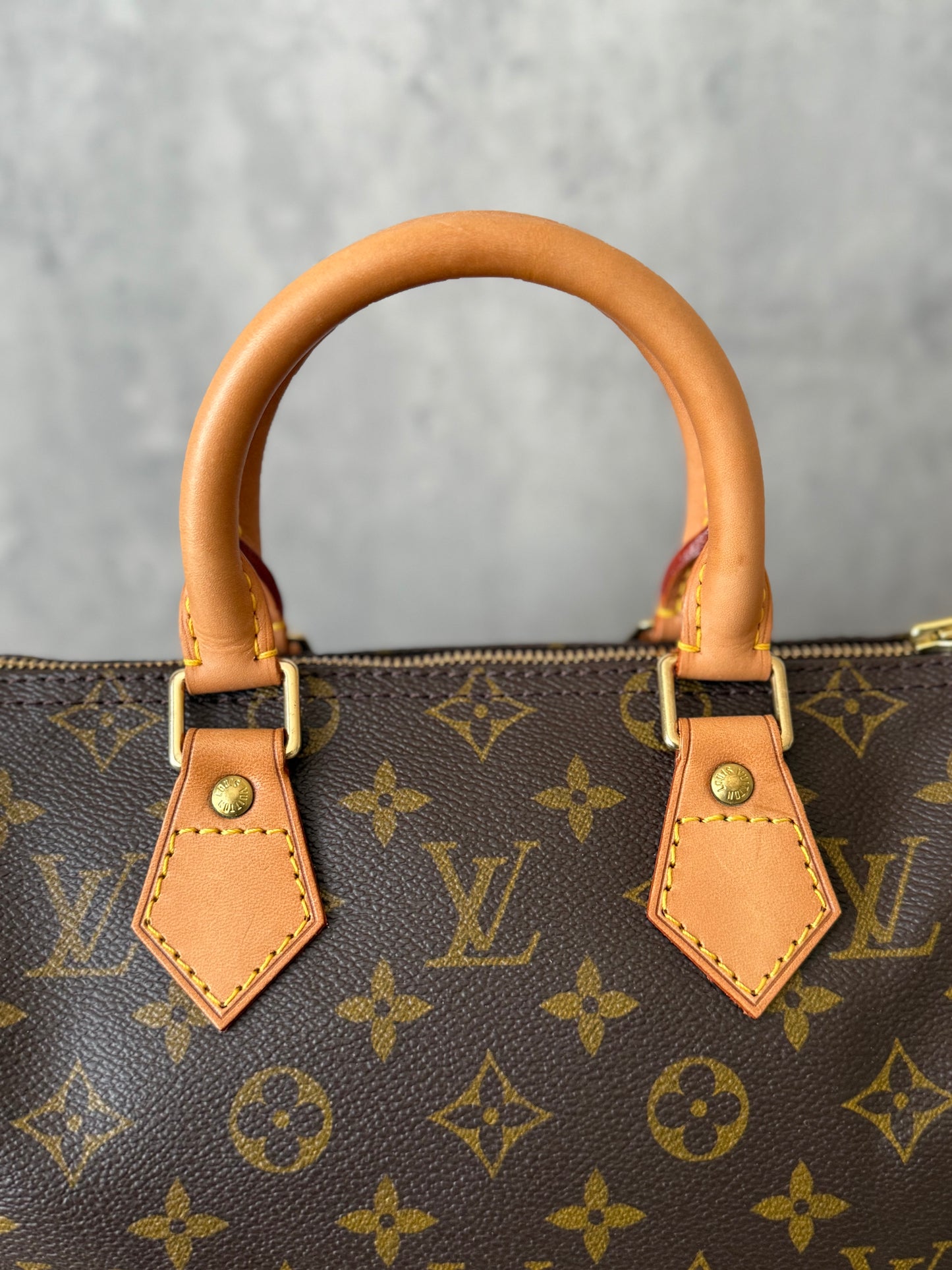 LV Speedy 25 Monogram