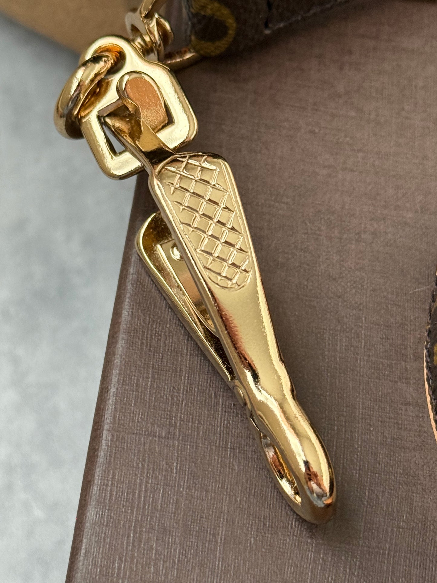 LV Collar PM with Monogram Leash