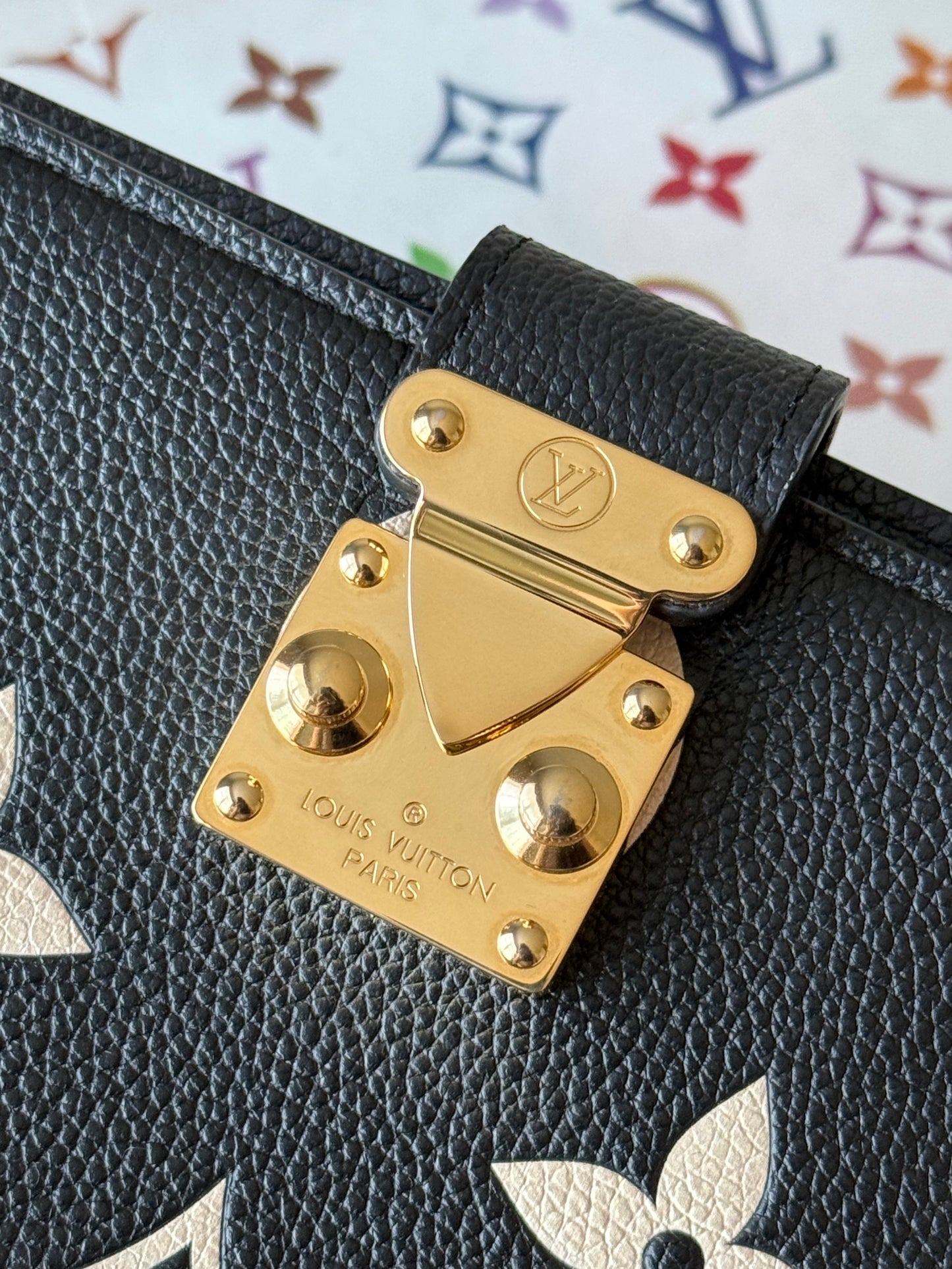LV Giant Bicolor Cover