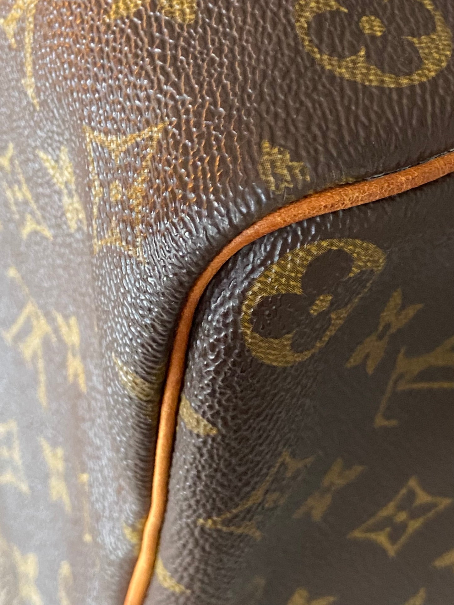 LV Speedy 35 monogram