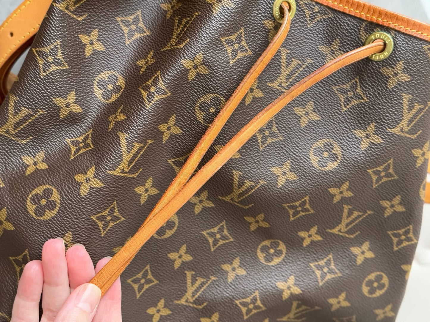 LV Noe GM Monogram